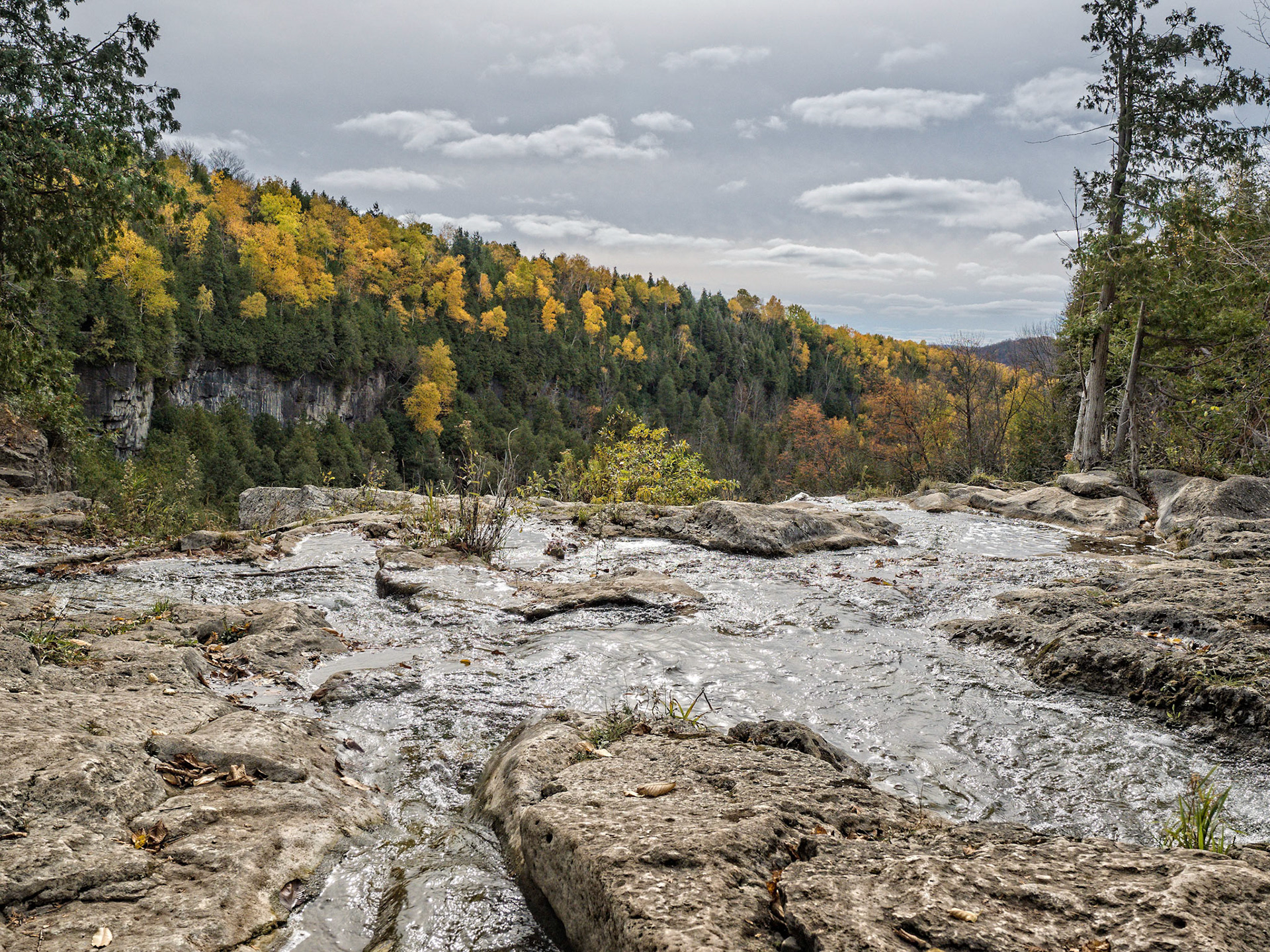 View from the top of Eugenia Falls in Grey County, Ontario.