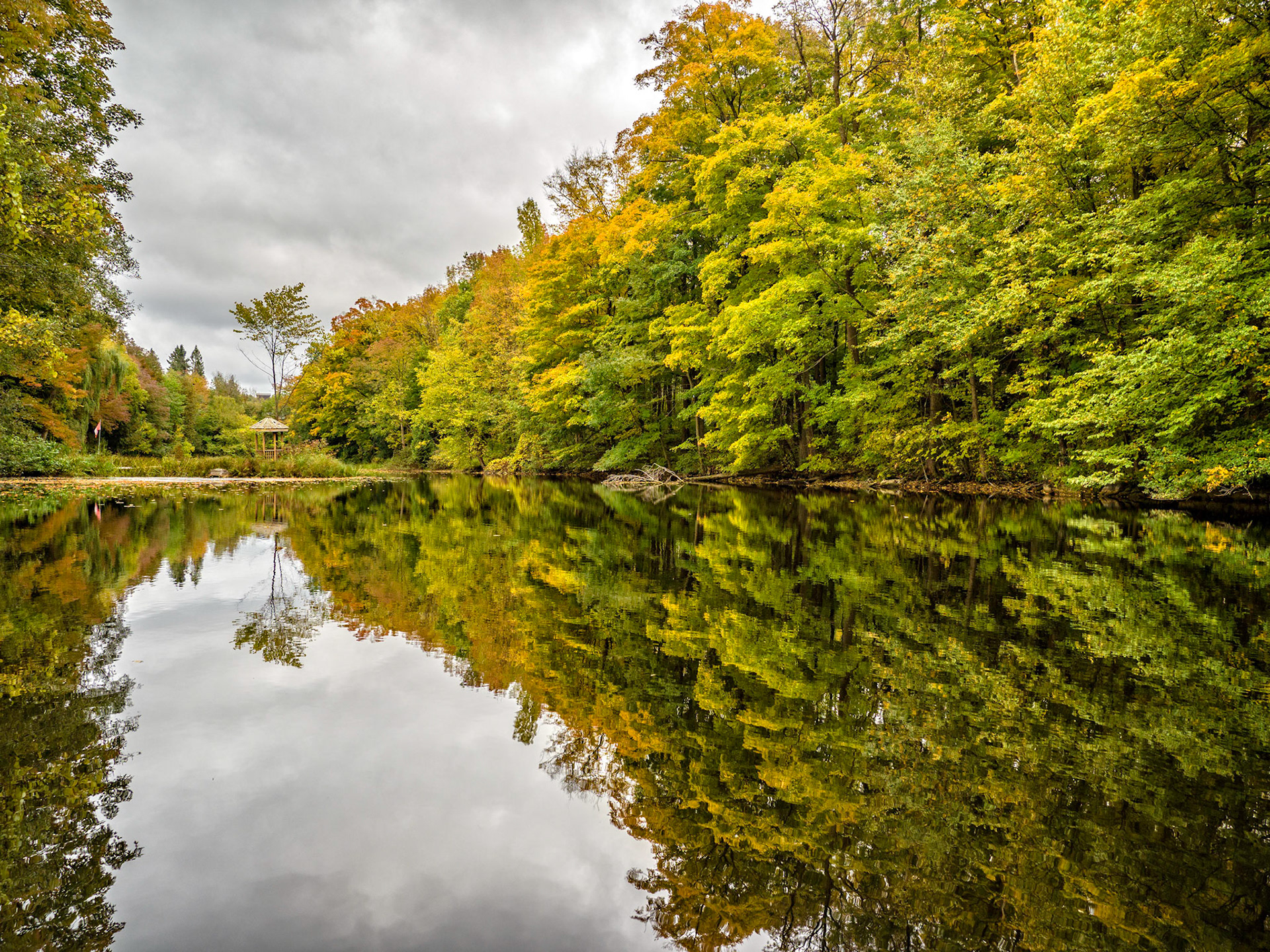 The pond above Walter's Falls in Grey County, Ontario.