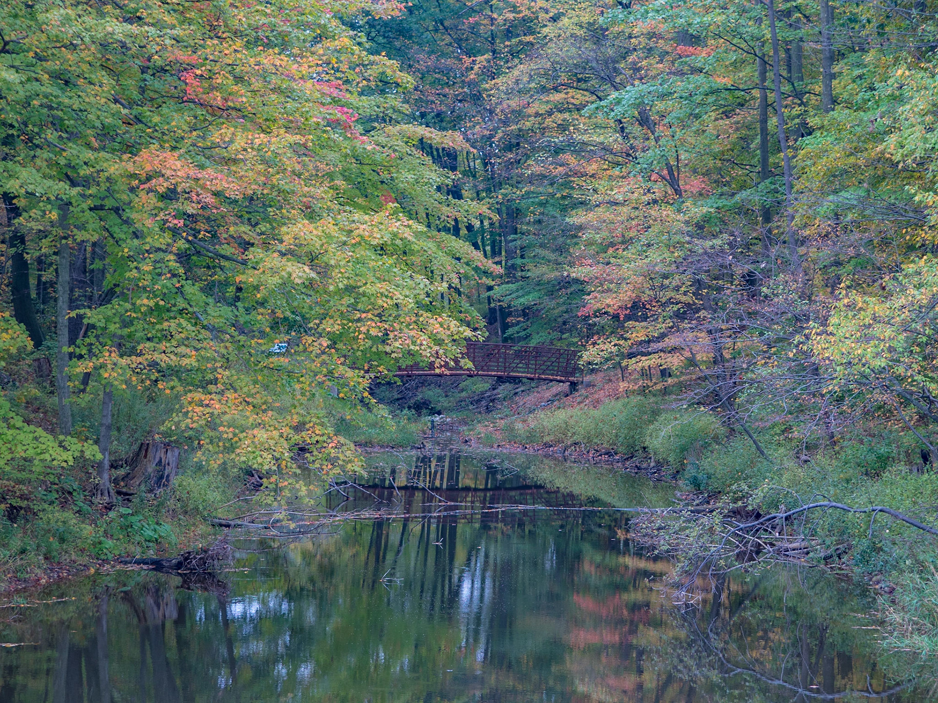 A bridge crosses the stream in this park scene in Oakville, Ontario.
