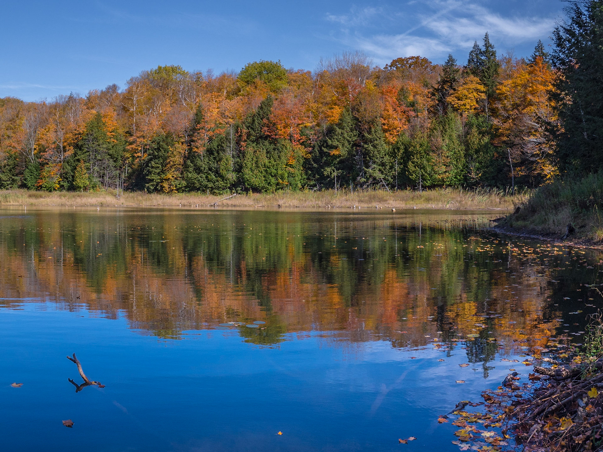 This pond is located alog the Bruce Trail in Pretty River Park, Collingwood, Ontario.