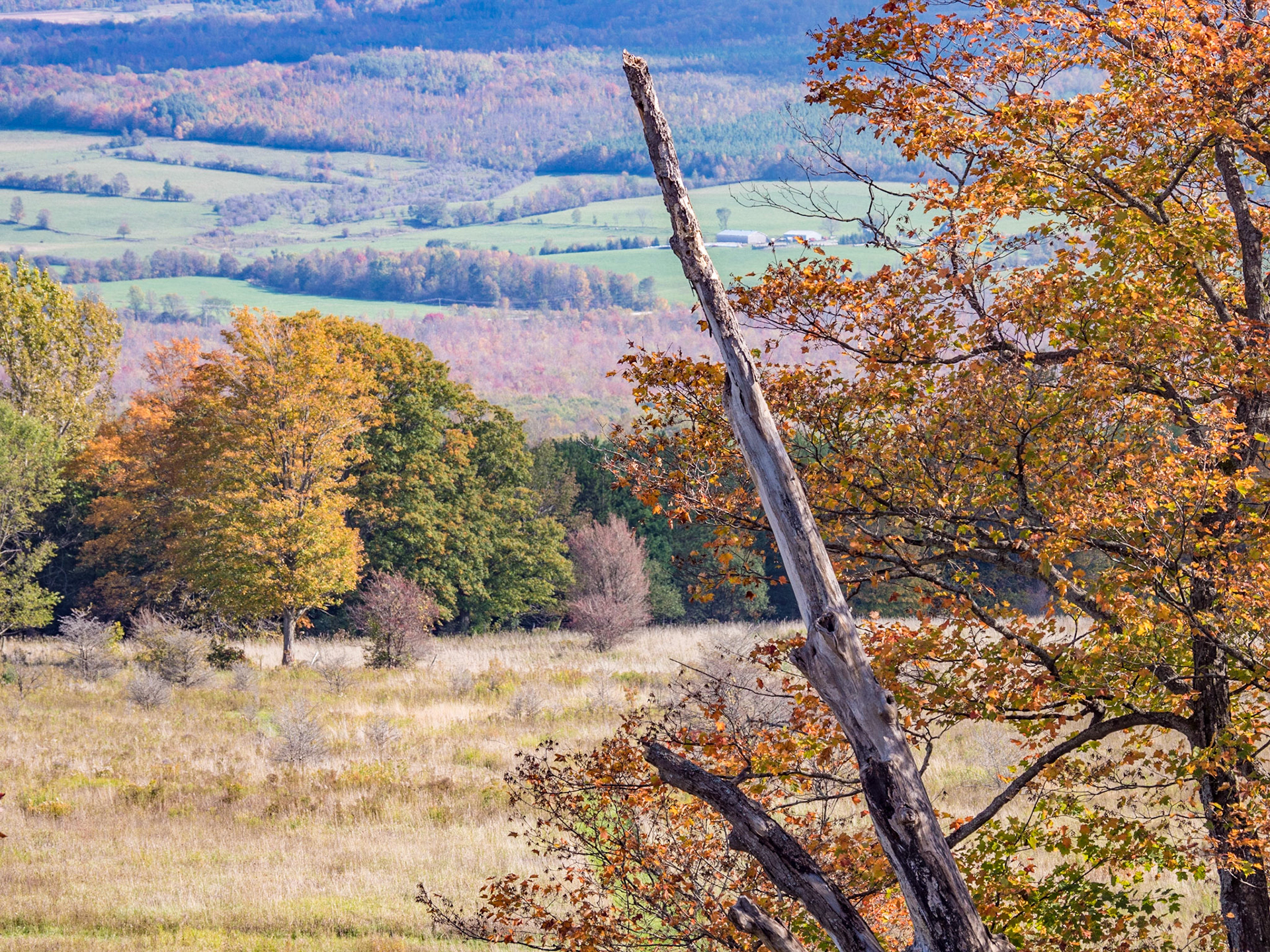 Fall colors on the Beaver Valley as seen from Epping Lookout.