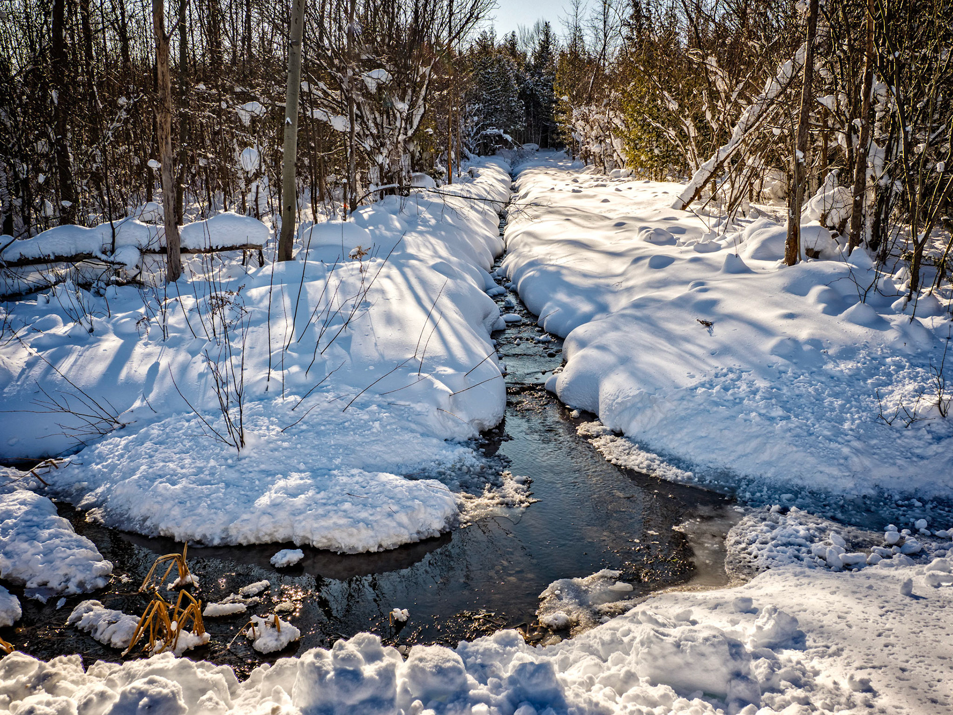 Melting snow creates a stream in the forest of Lora Bay Golf Course.