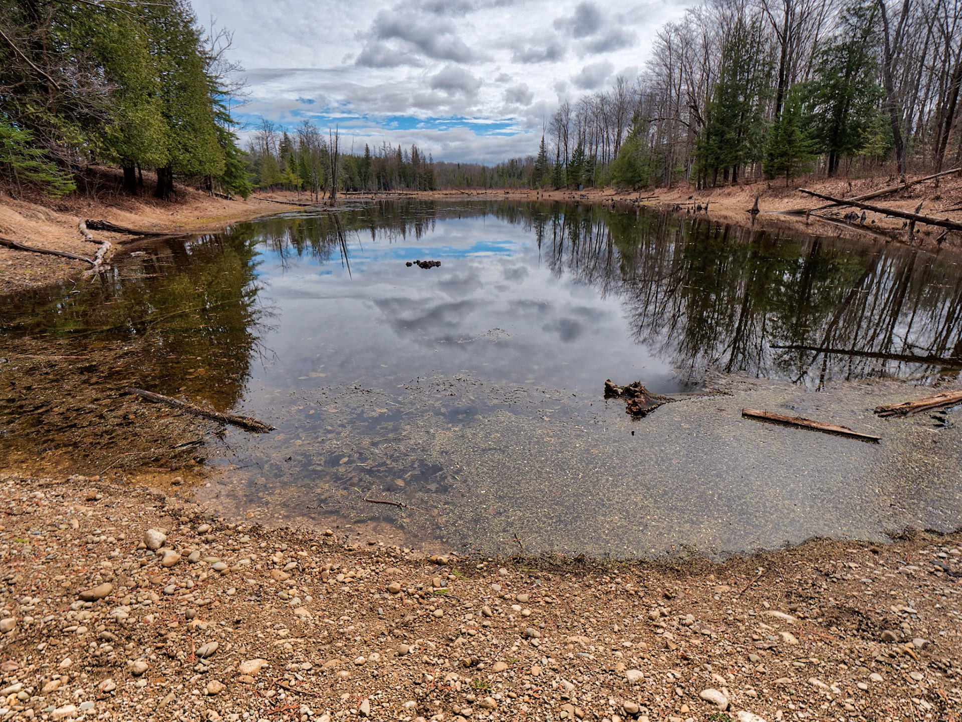 This beaver pond is located in Fesherton Hills park in Flesherton, Ontario.