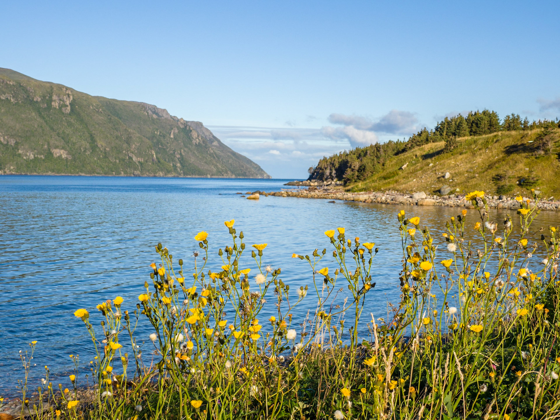 Early morning along Bonne Bay shoreline in Gros Morne National Park, Newfoundland.