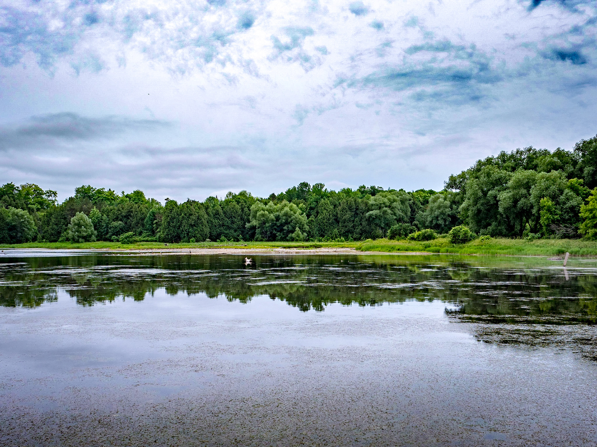 This lagoon is a great birding area south of Meaford Ontario.