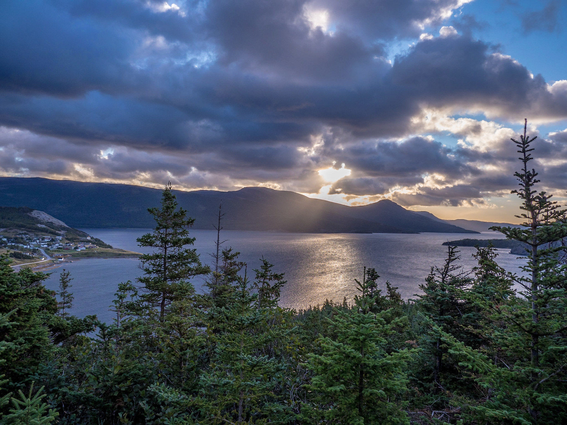 Early morning view from the top of Burnt Hill trail in Norris Point, Newfoundland.