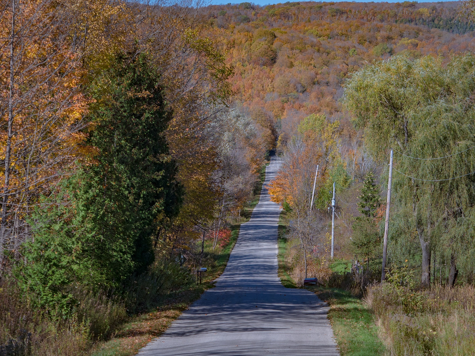 A rquiet oad near Kolapore, Ontario during the fall.