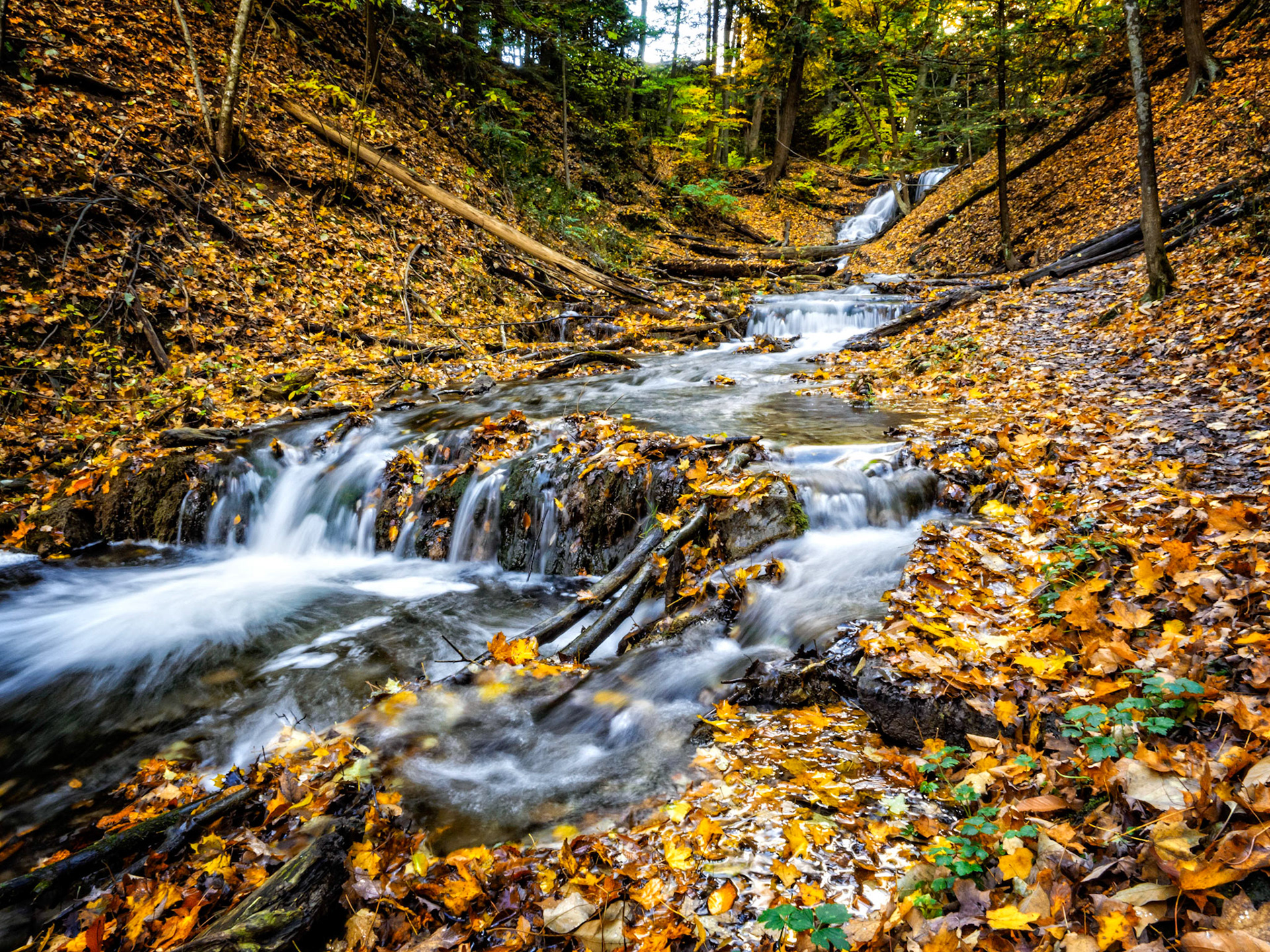 Weaver's Creek Falls is located near Owen Sound Ontario.