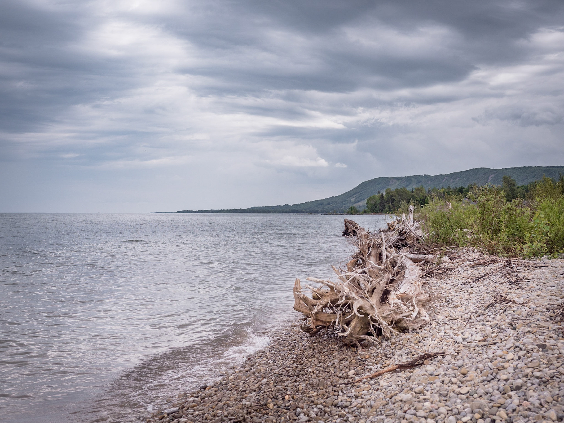 Driftwood along the natural beach at Peasemarsh Nature Preserve in the Blue Mountains, Ontario.