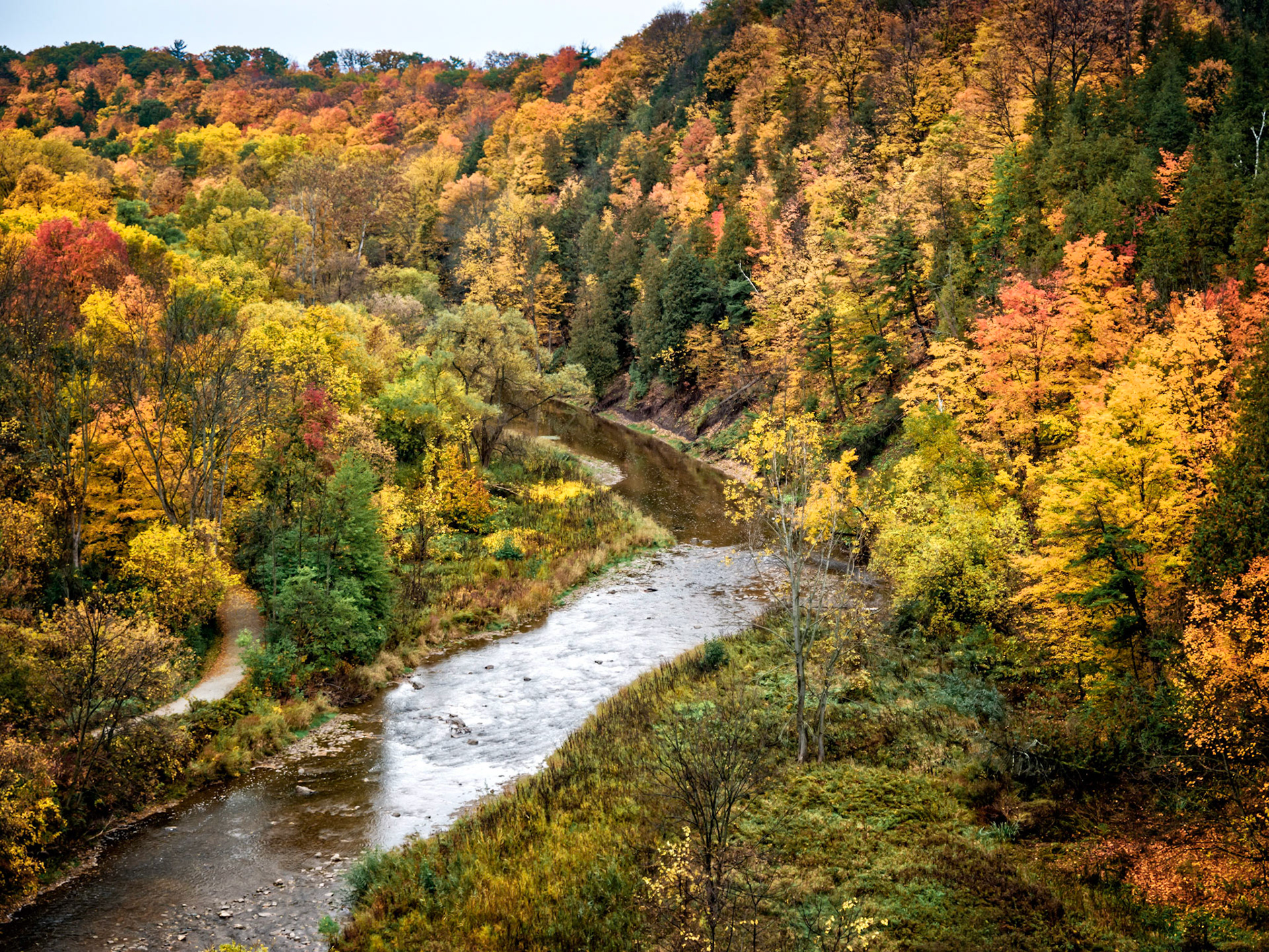 Fall colors along Sixteen Mile Creek in Lion's Valley Park, Oakville, Ontario.