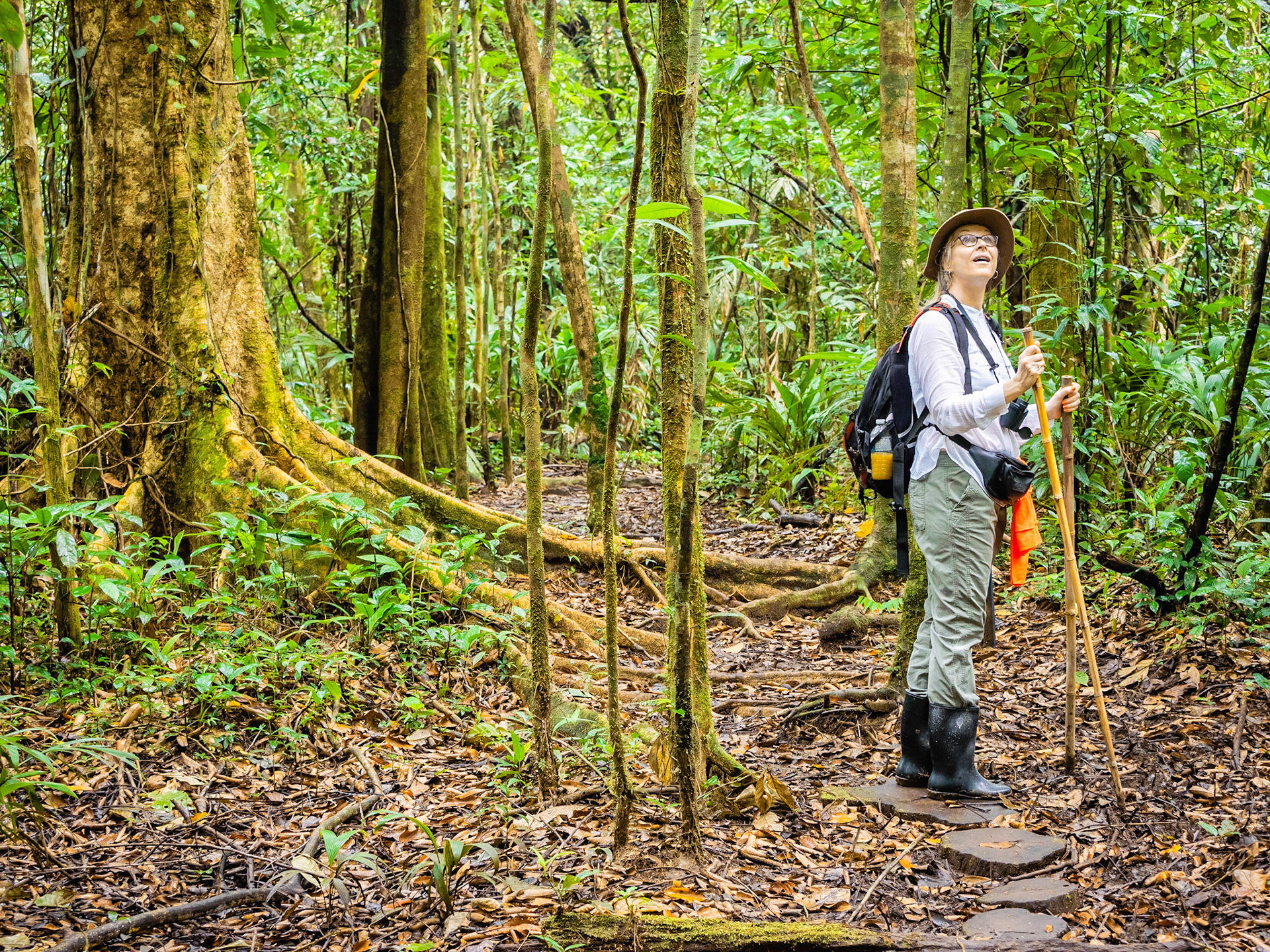 My wife enjoying a forest bath in the Costa Rican rain forest.