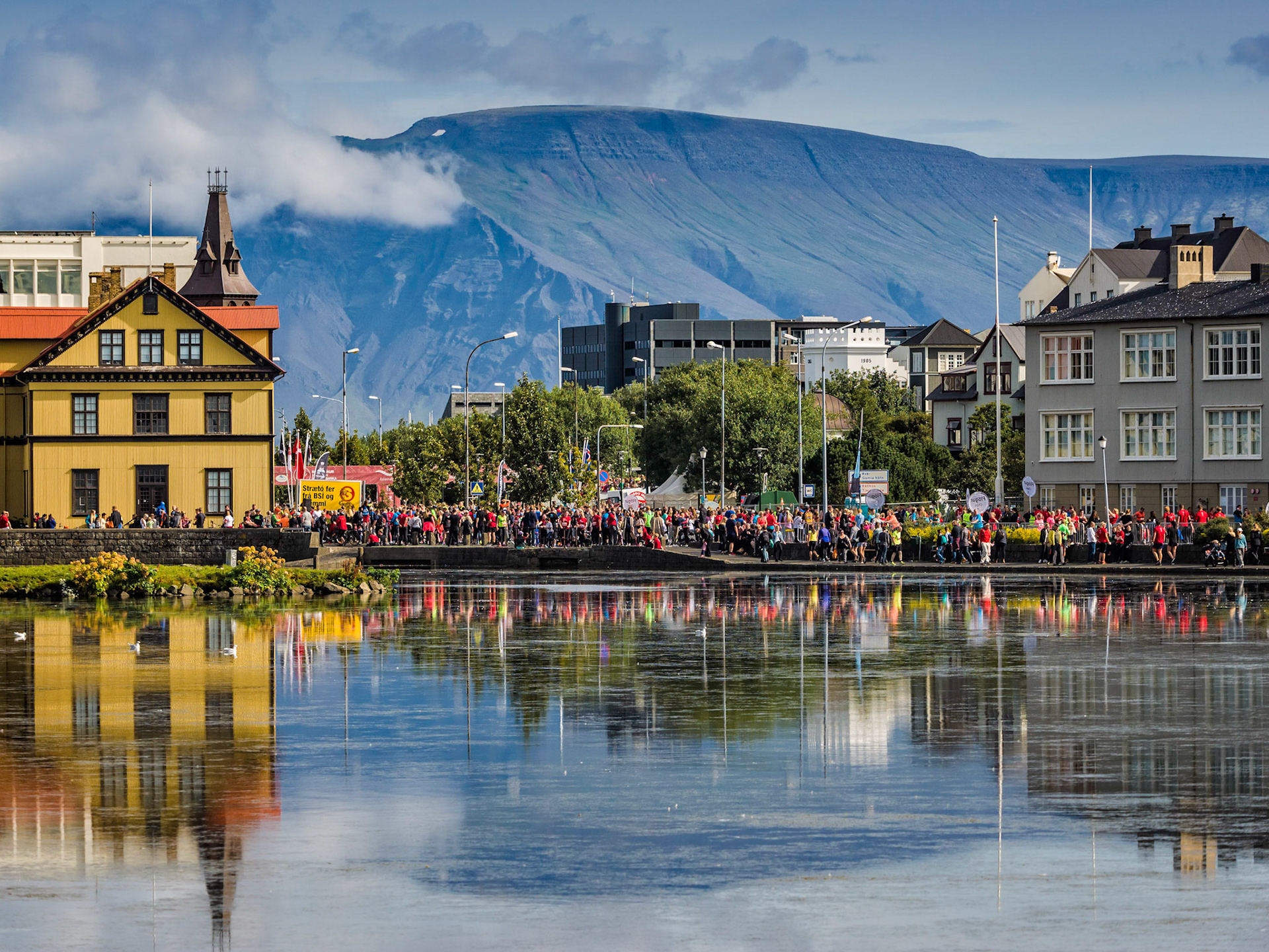 Reflections from a pond in downtown Reykjavik, Iceland in summer.