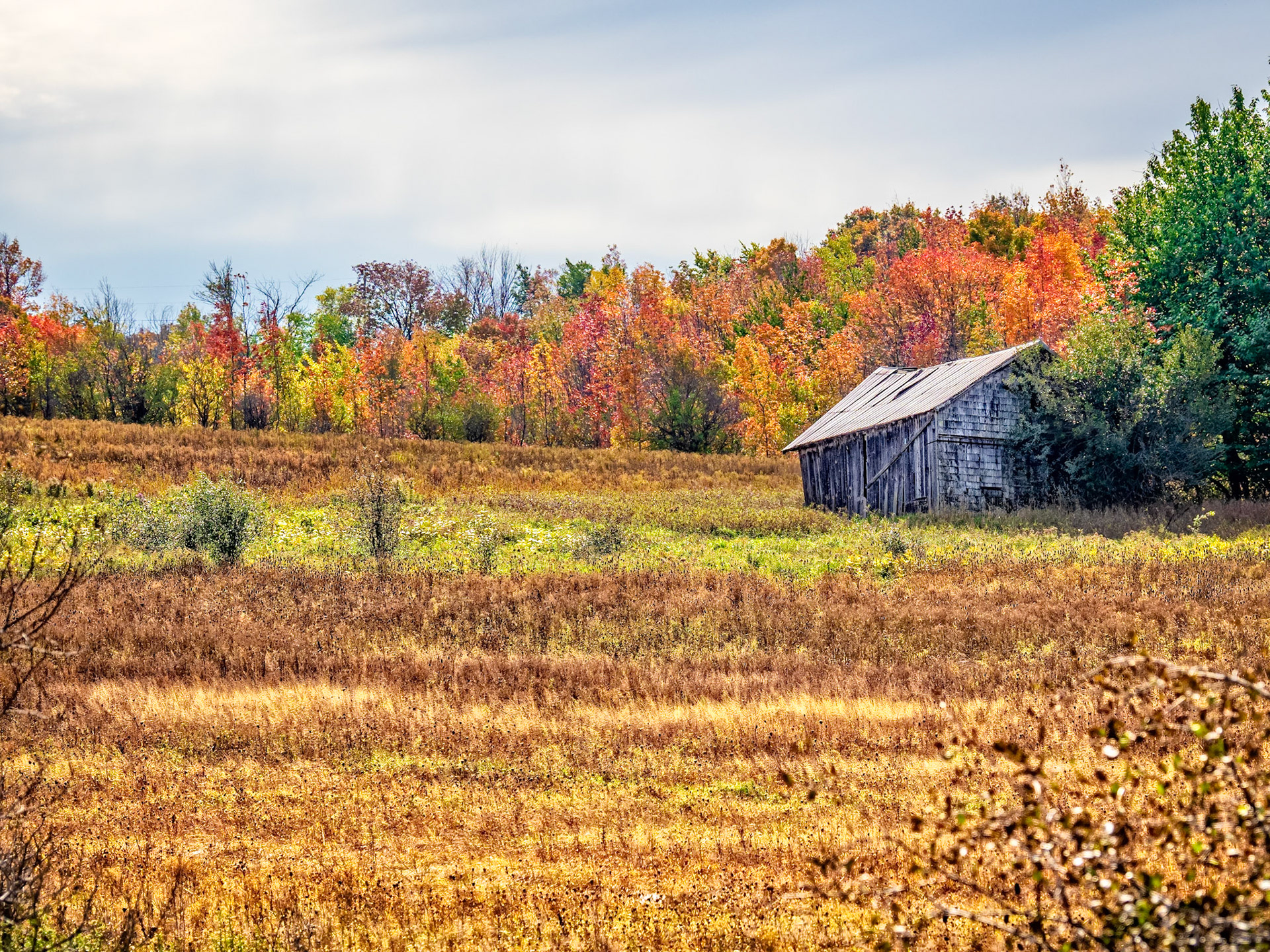 An old barn on a farm as seen from Frog's Hollow sideroad in Grey County, Ontario.