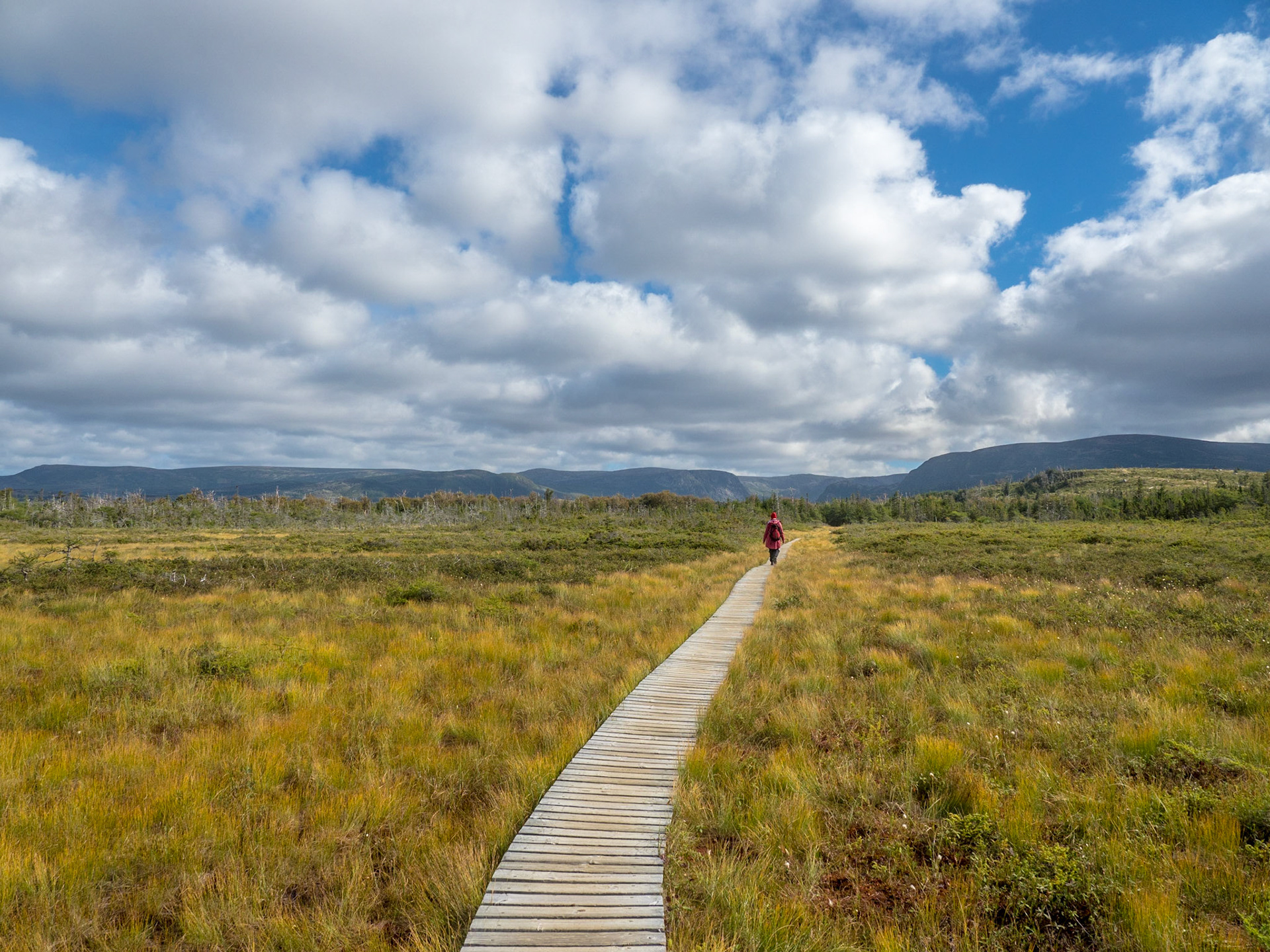 Gros Morne National Park has miles of beautiful trails through all types of landscapes.