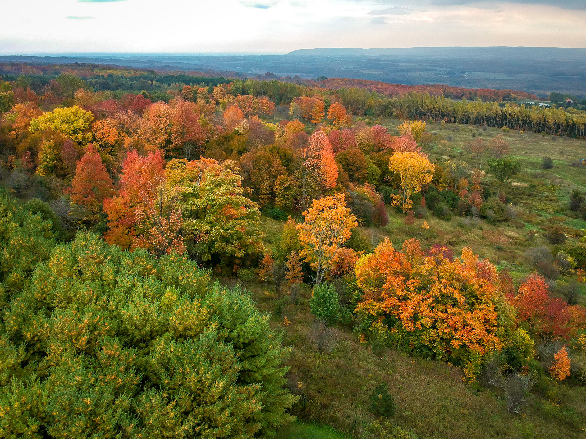 Fall aerial view from Epping lookout taken with a drone looking towards the Beaver Valley.