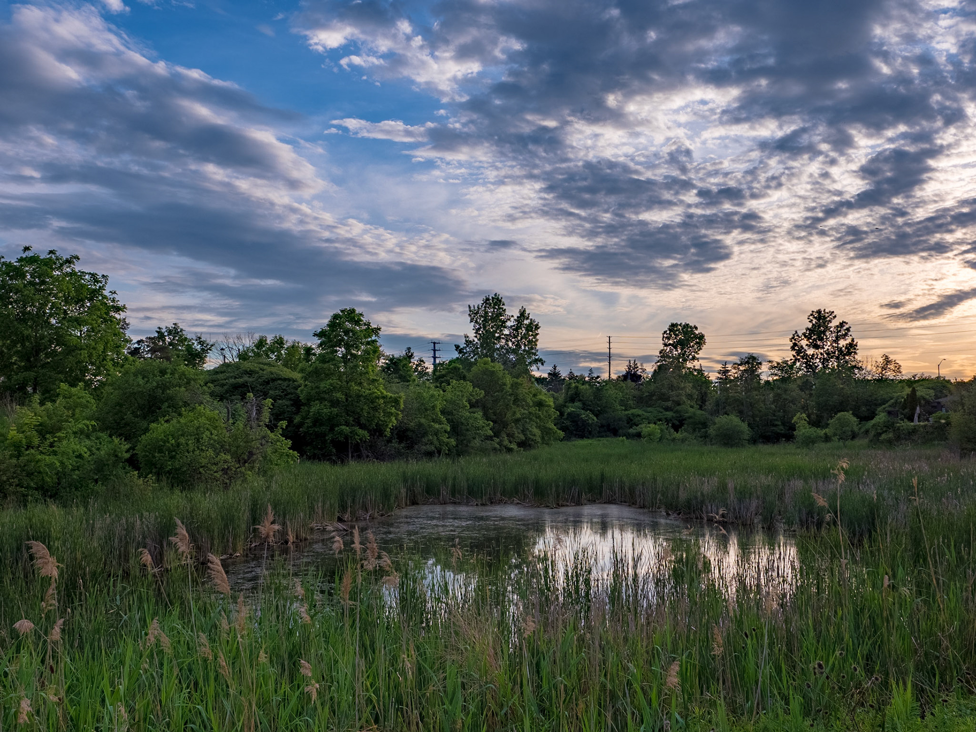 This lagoon is a great birding area south of Meaford Ontario.