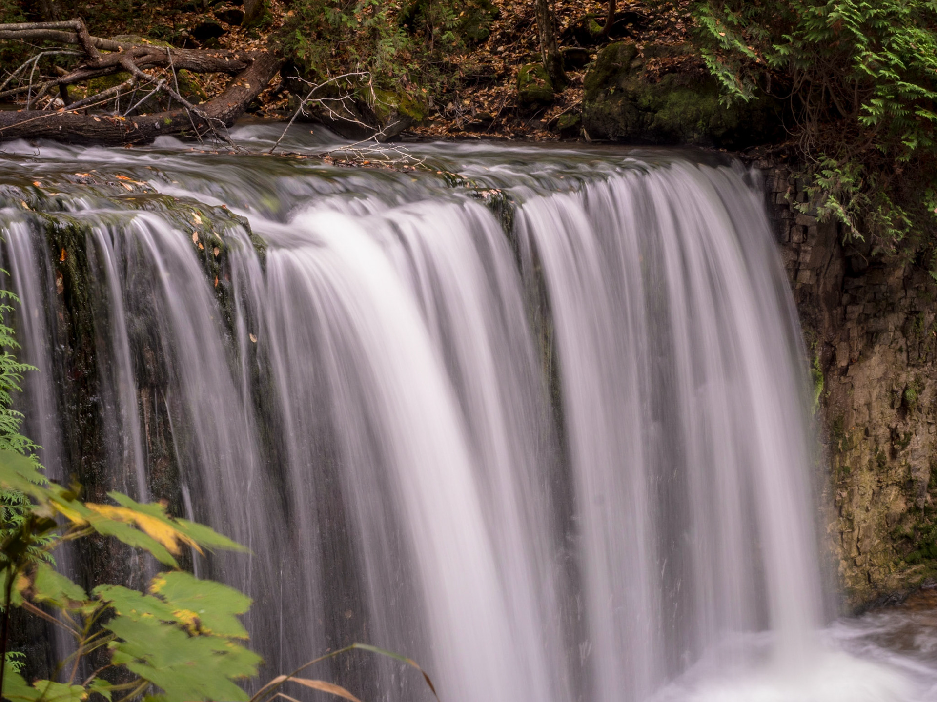 Hoggs Falls is located near Flesherton Ontario.