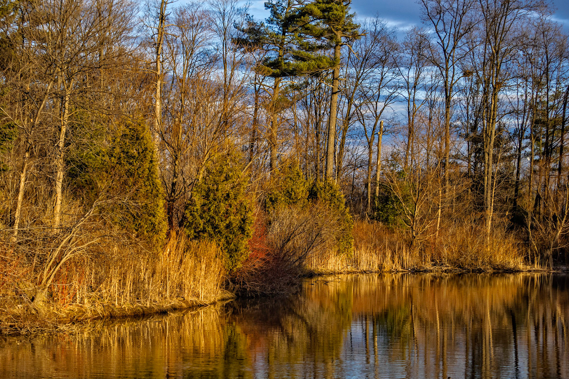 Fall reflections on a pond in The Blue Mountains, Ontario.
