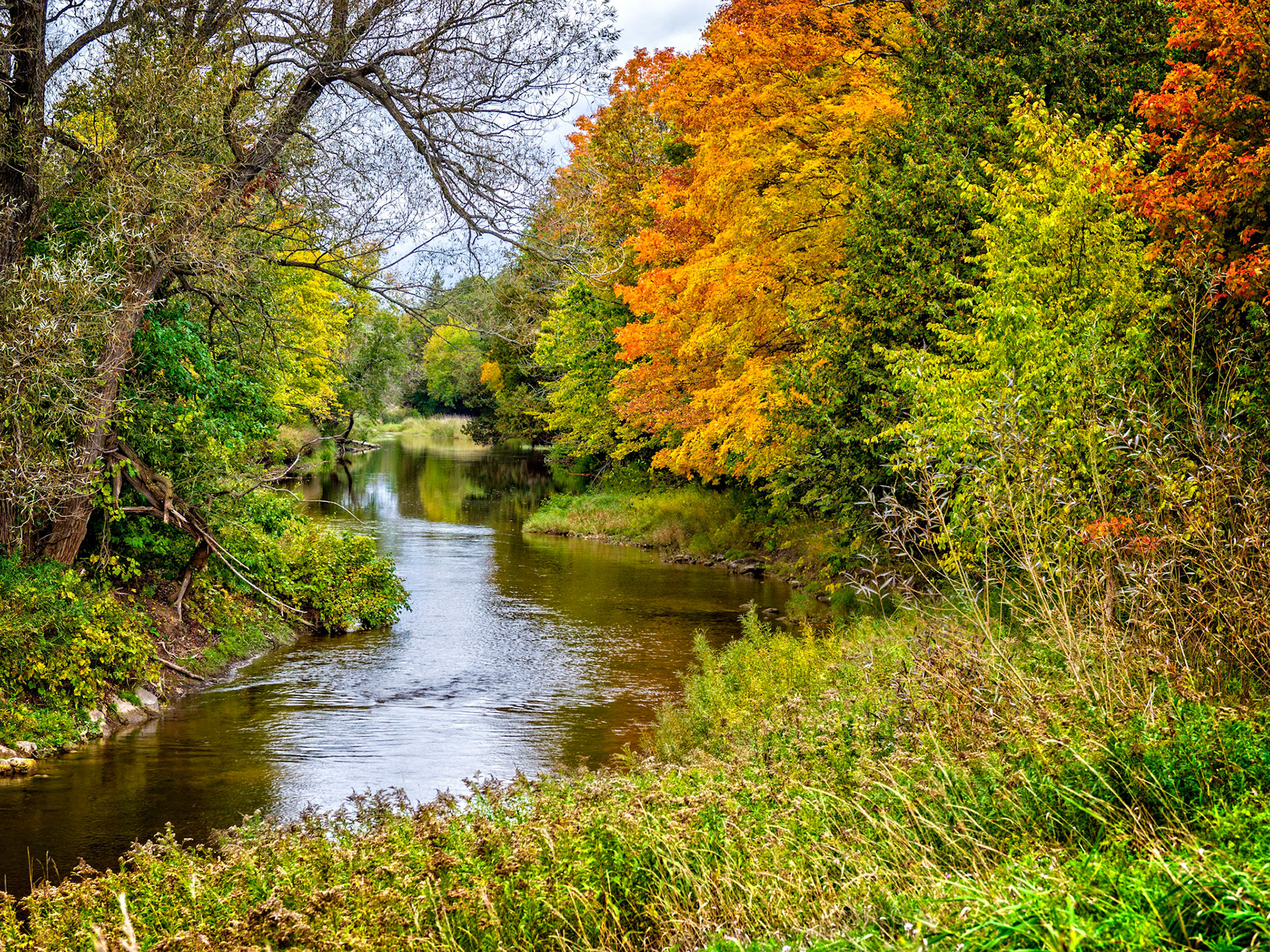 Fall colors along the Bighead River near Meaford, Ontario.