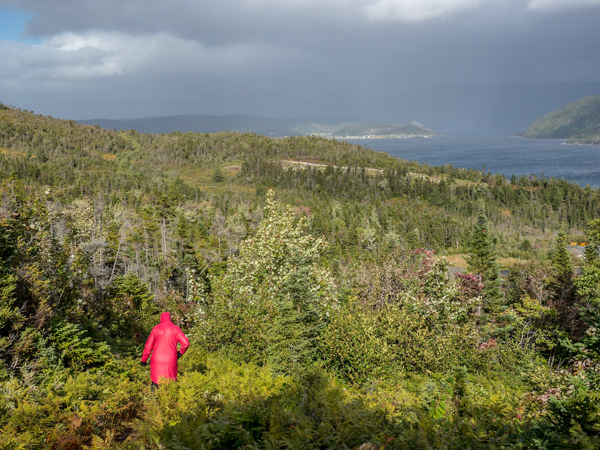 Hiking above the Discovery Centre in Gros Morne Park near Woody Point, NFLD.