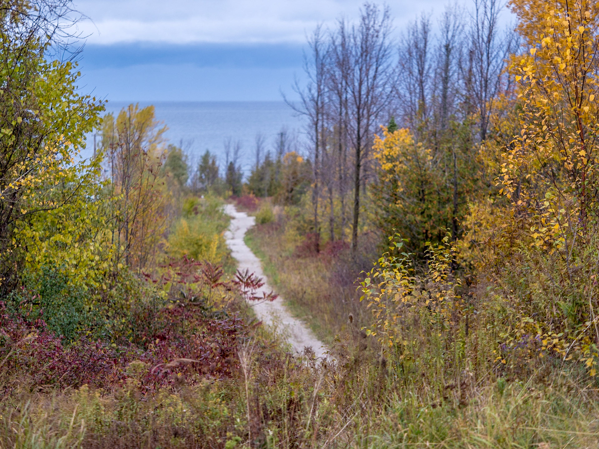 This path leads to Lora Bay beach in Thornbury, Ontario.