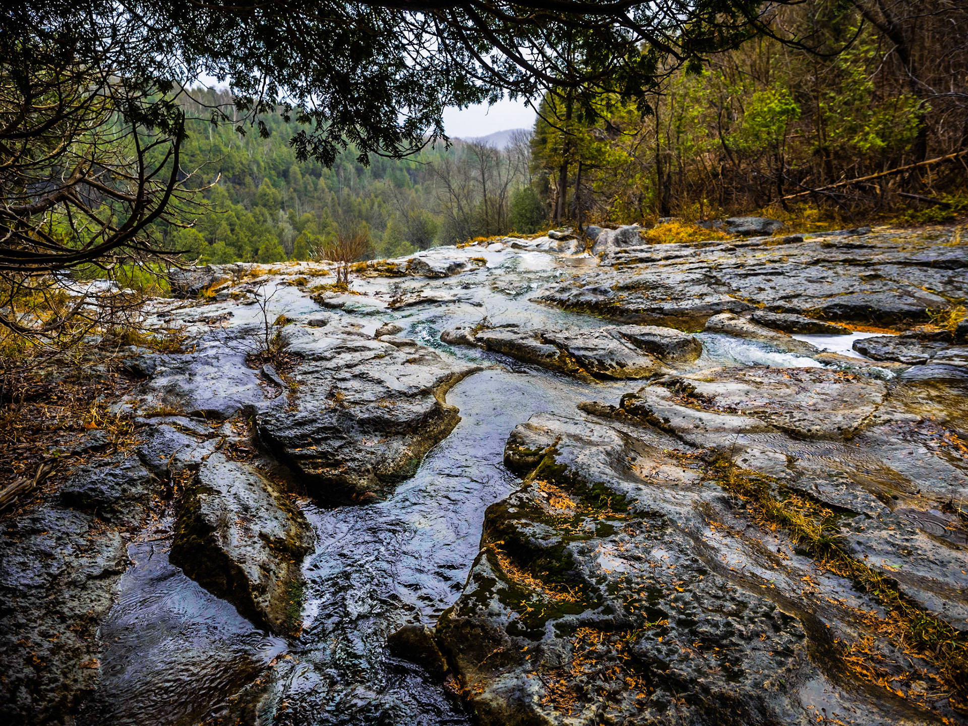 This shot was taken of the stream at the top of Eugenia Falls in Grey County.