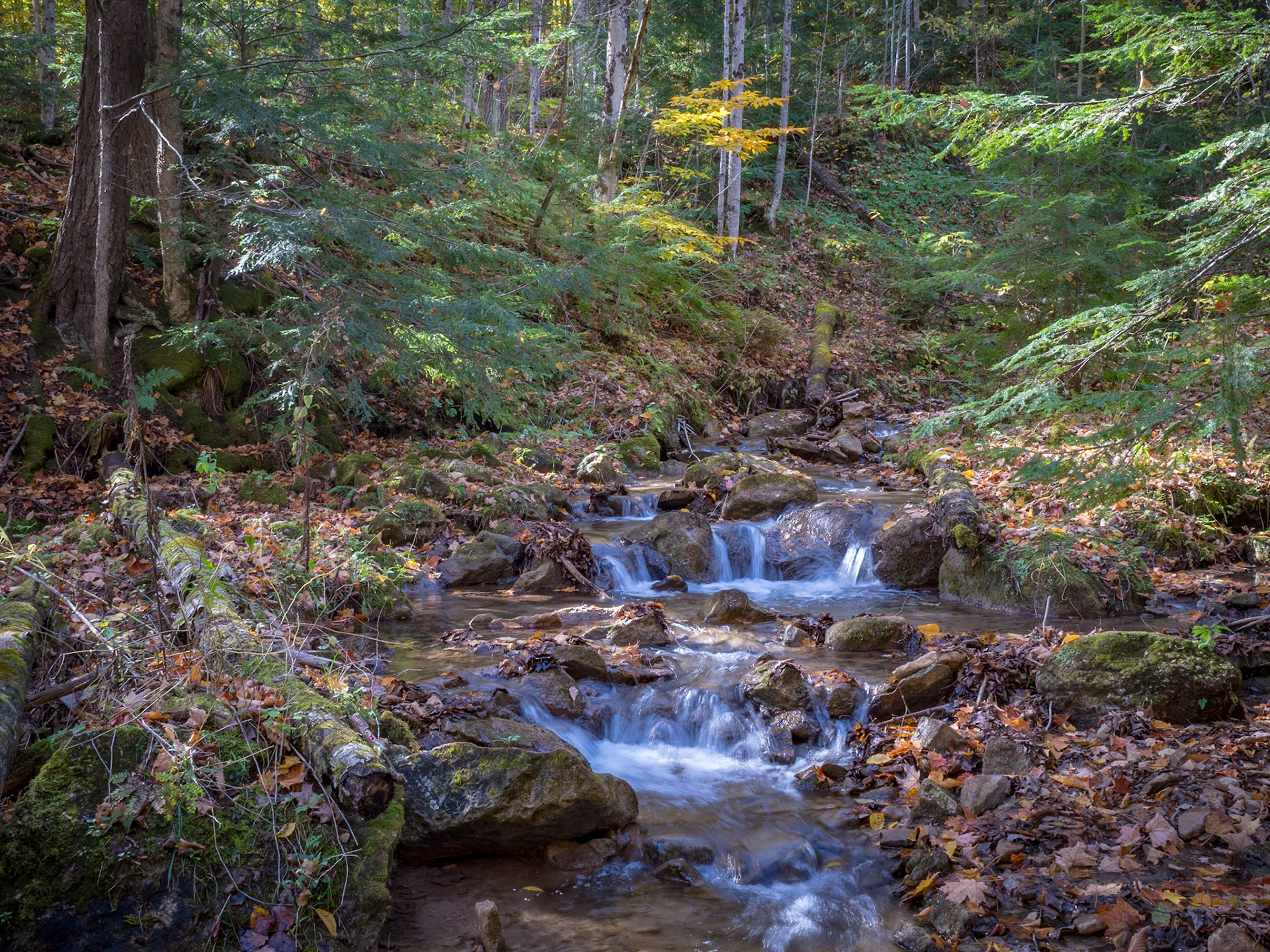 A small waterfall located near Owen Sound, Ontario.