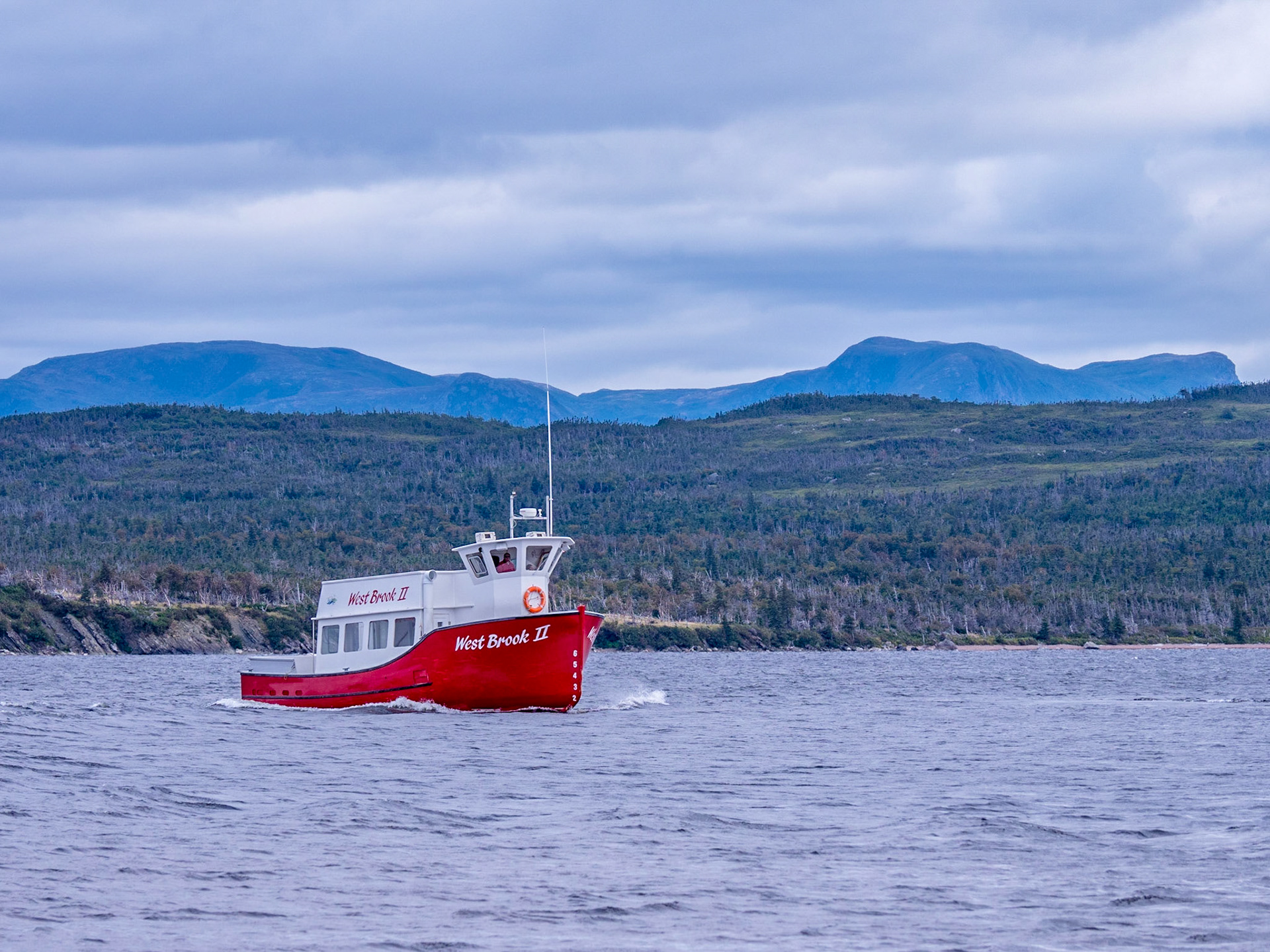 Take a two hour cruise on these boats to the end of Western Brook Pond and back.