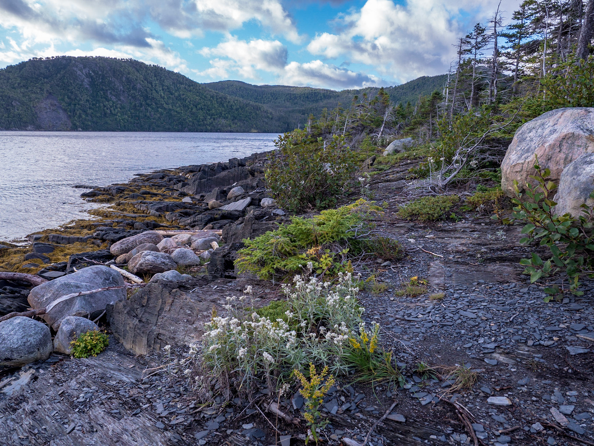 Burnt Hill Trail takes you down by Bonne Bay in Norris Point, Newfoundland.