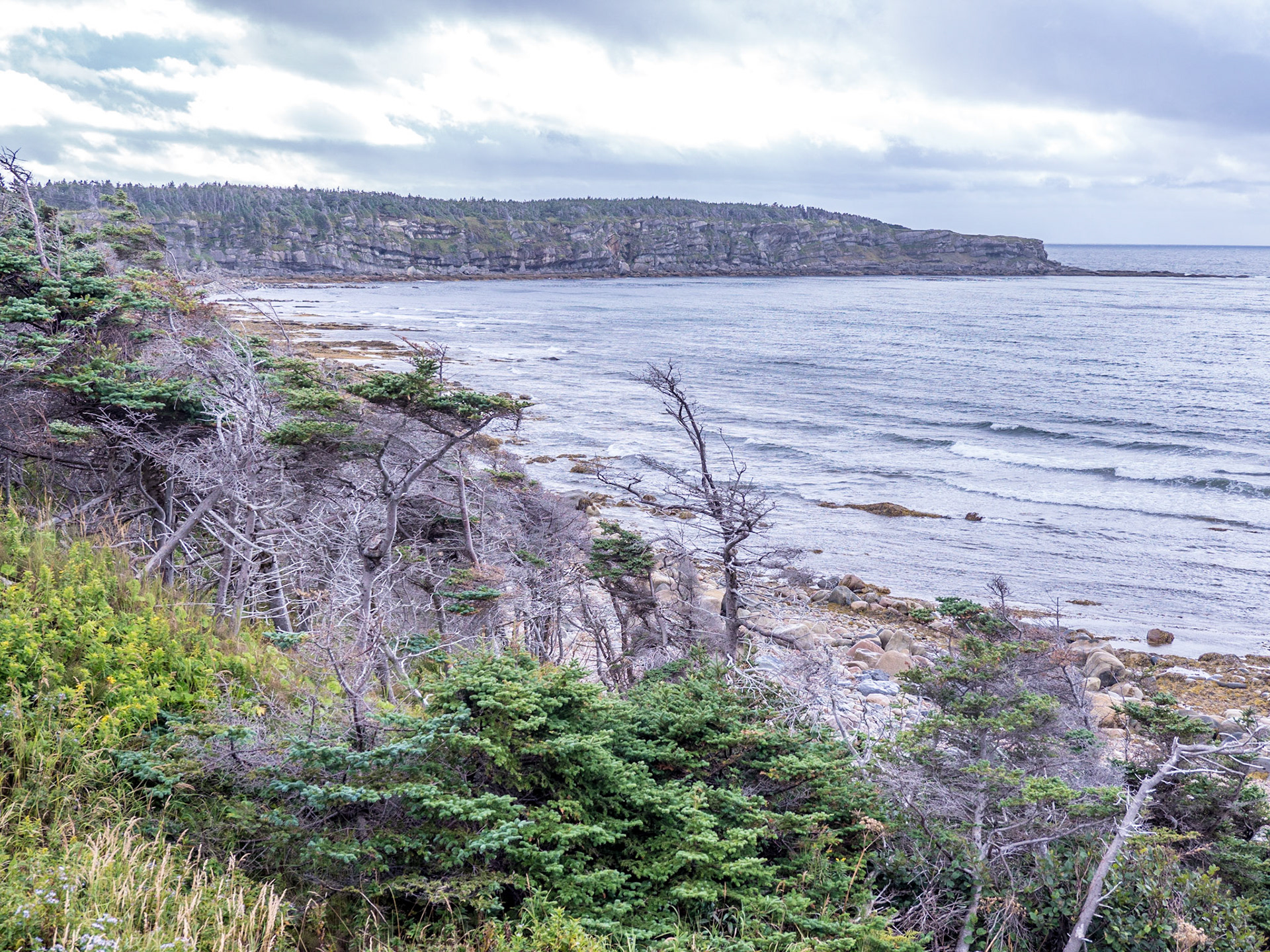 Shoreline along the Gulf of St. Lawrence River, western Newfoundland.