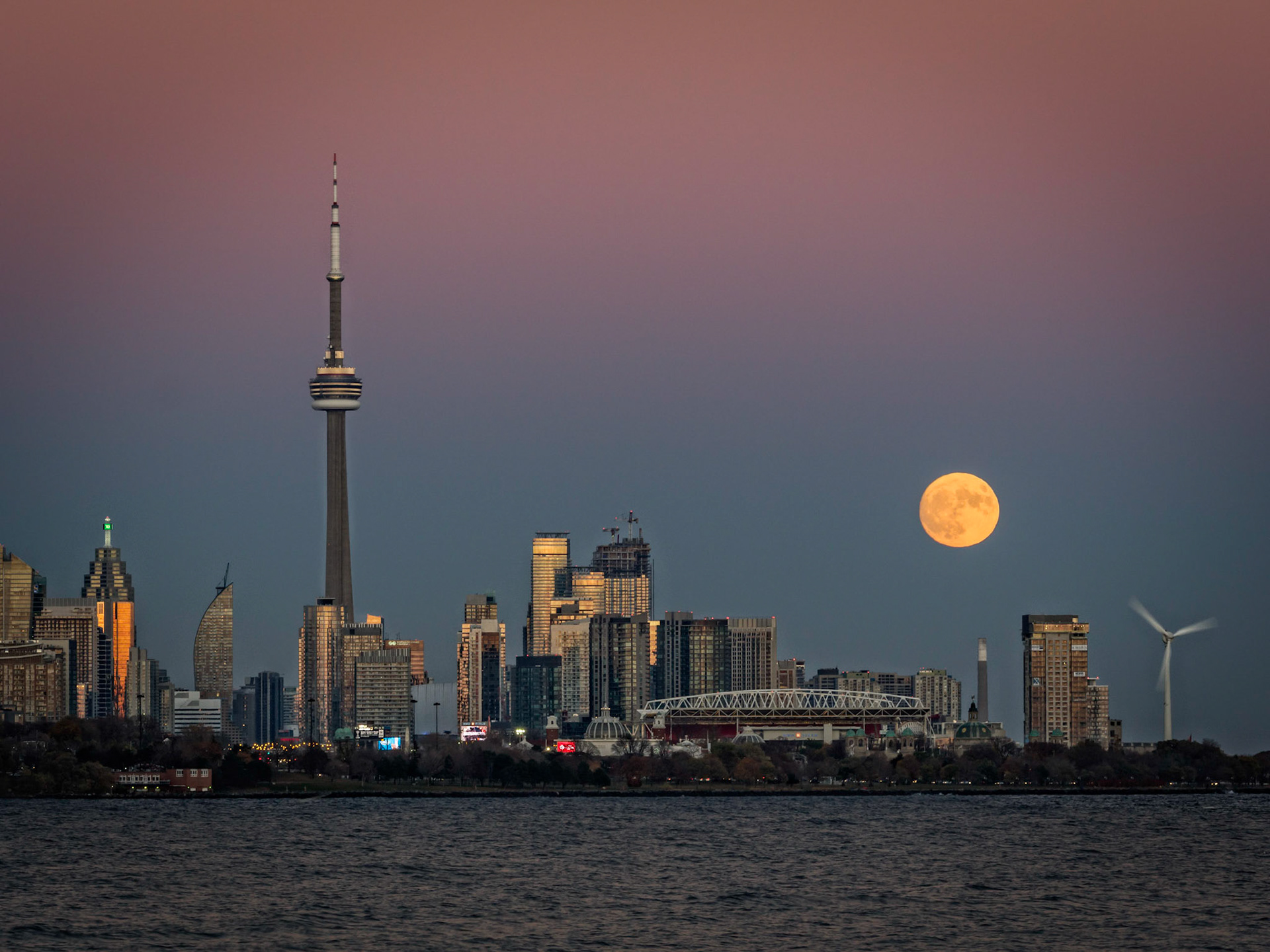 The November 2016 supermoon rising over downtown Toronto skyline including the CN Tower.