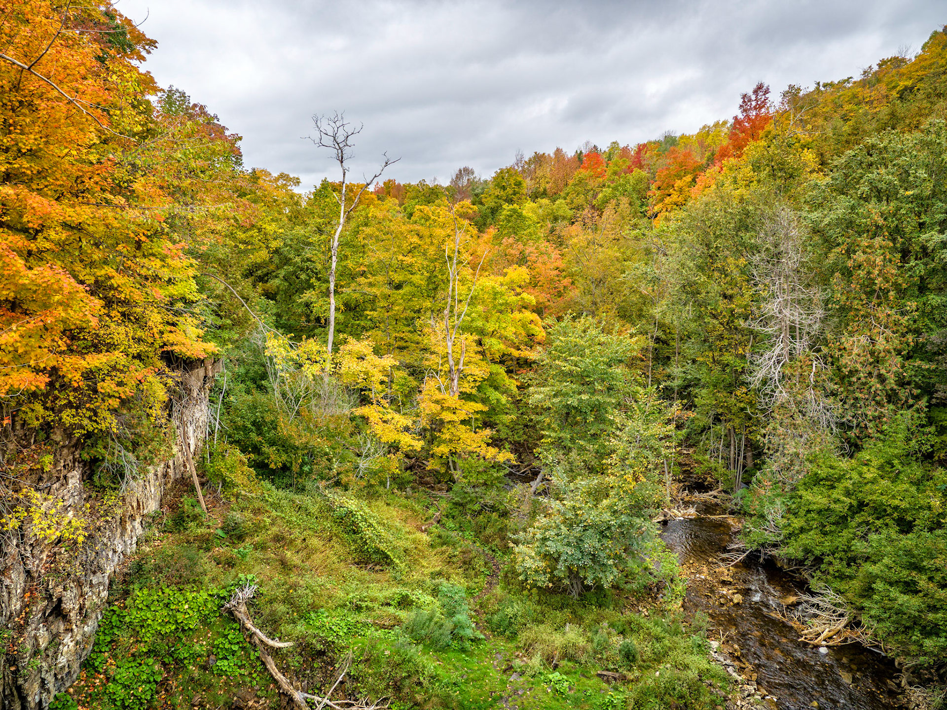 The gorge overlooking Walter's Falls in Grey County, Ontario.