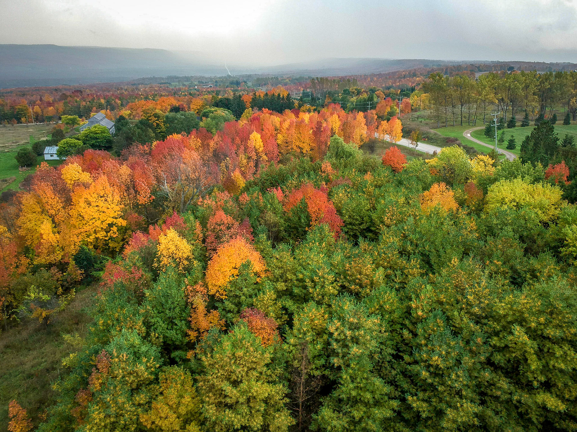 Aerial view from Epping lookout taken with a drone.