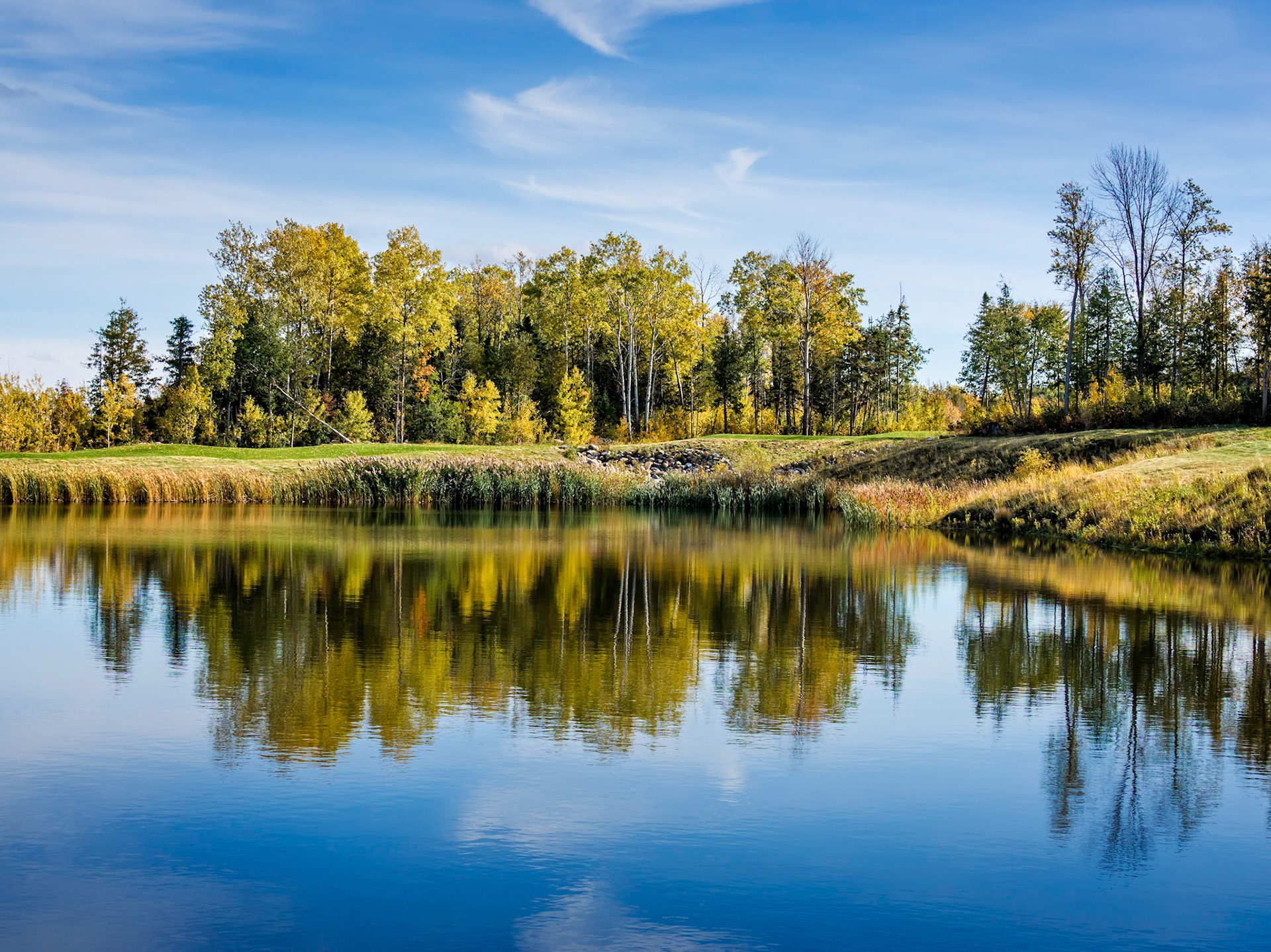 Fall reflections in a pond at Lora Bay golf course Thornbury, Ontario.