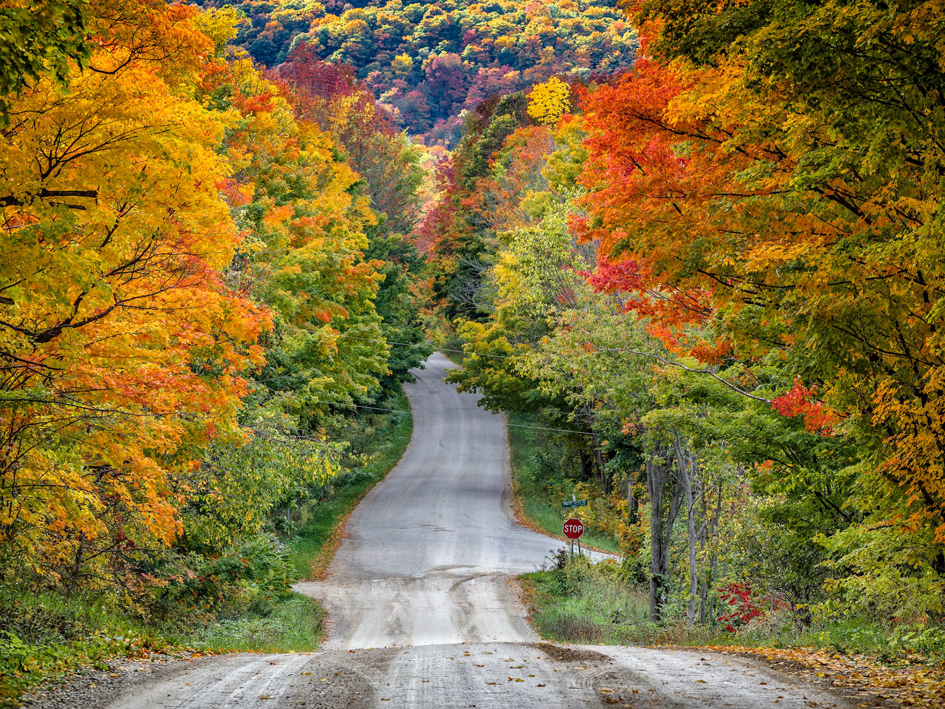 Fabulous colors along Pretty River Valley Road near Collingwood, Ontario.
