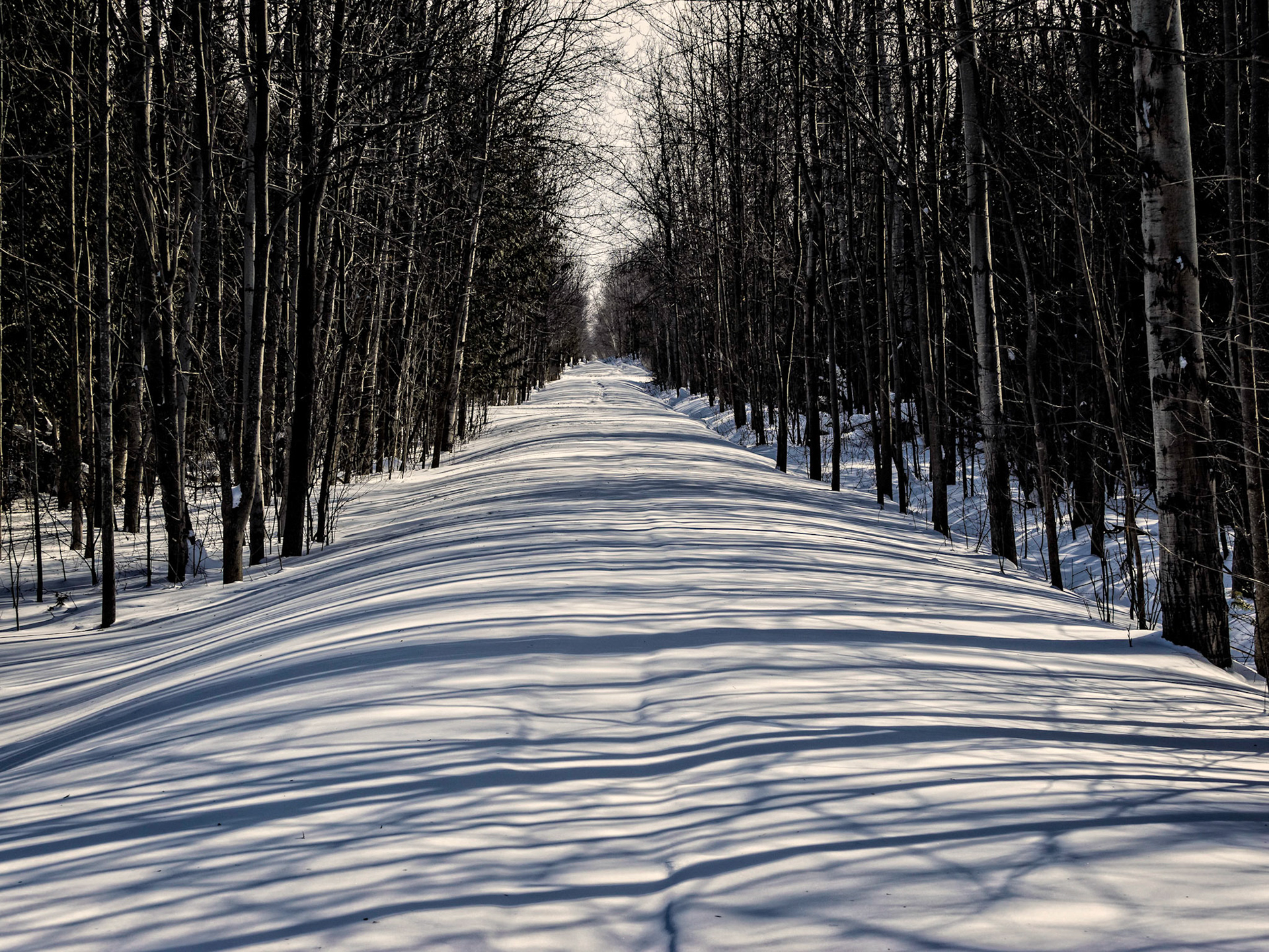 The Georgian Trail in winter in Southern Ontario, Canada.