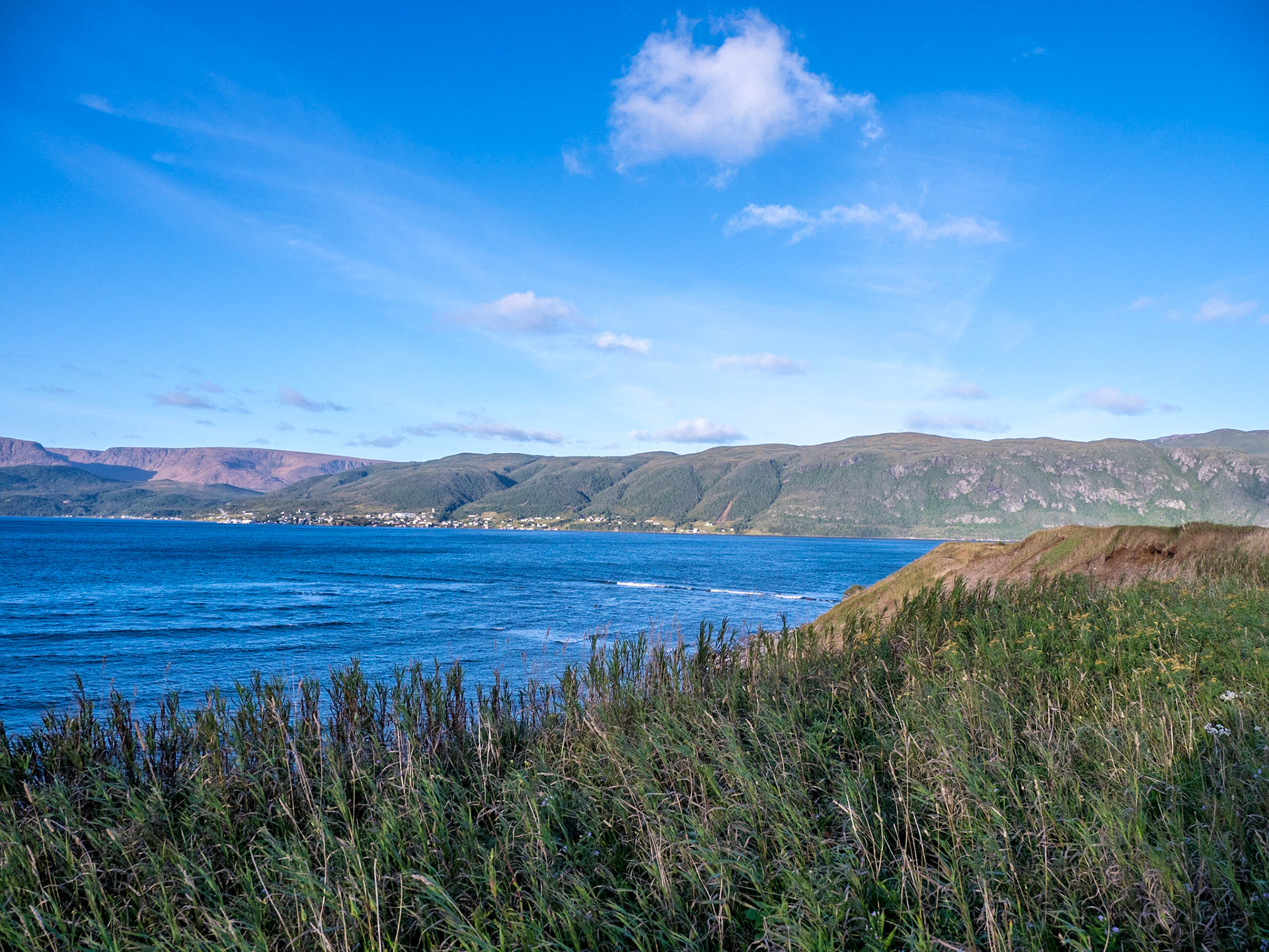 Hillside view of Bonne Bay from Norris Point, Newfoundland.