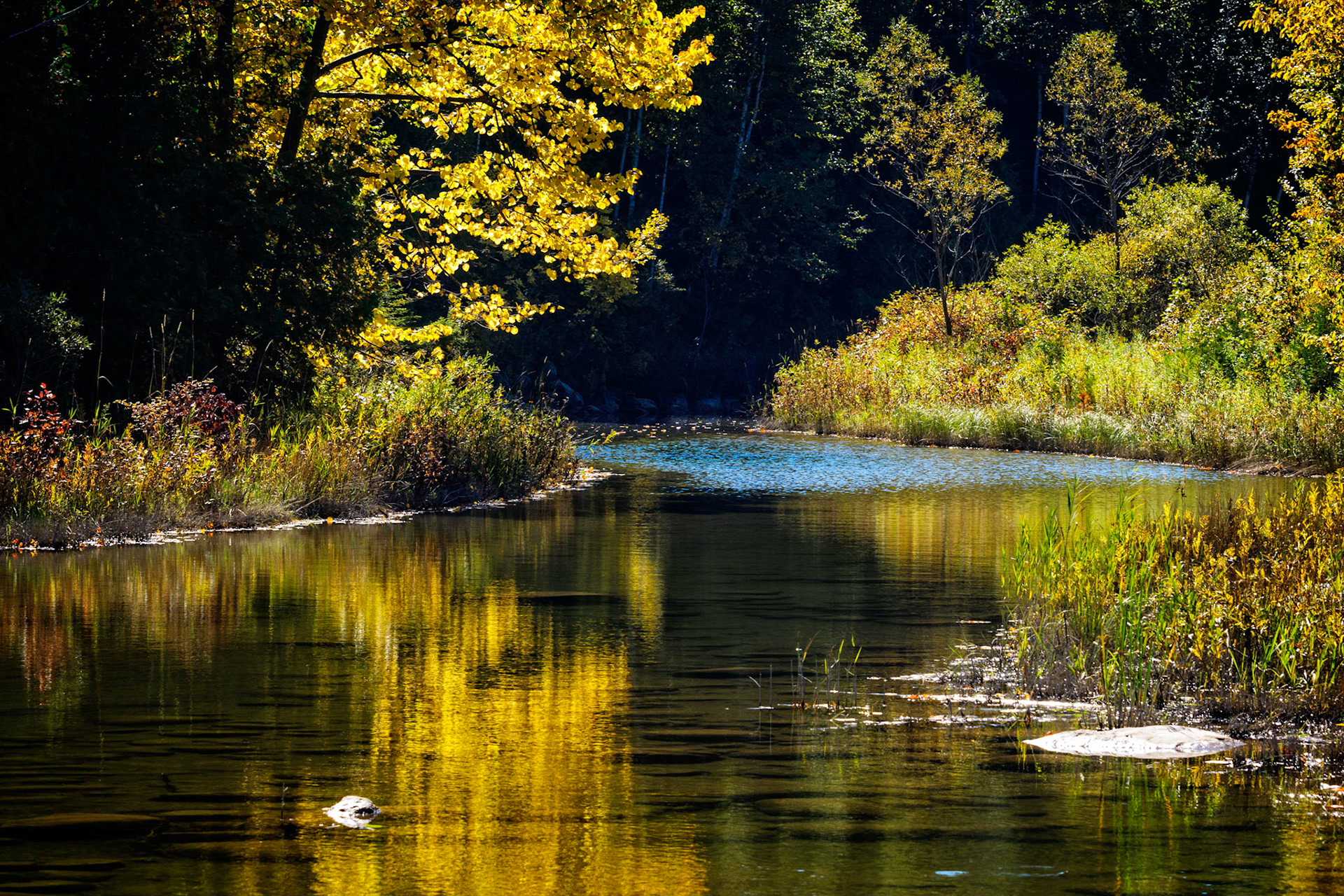Indian Brook mouth where it meets Georgian Bay in Southern Ontario.