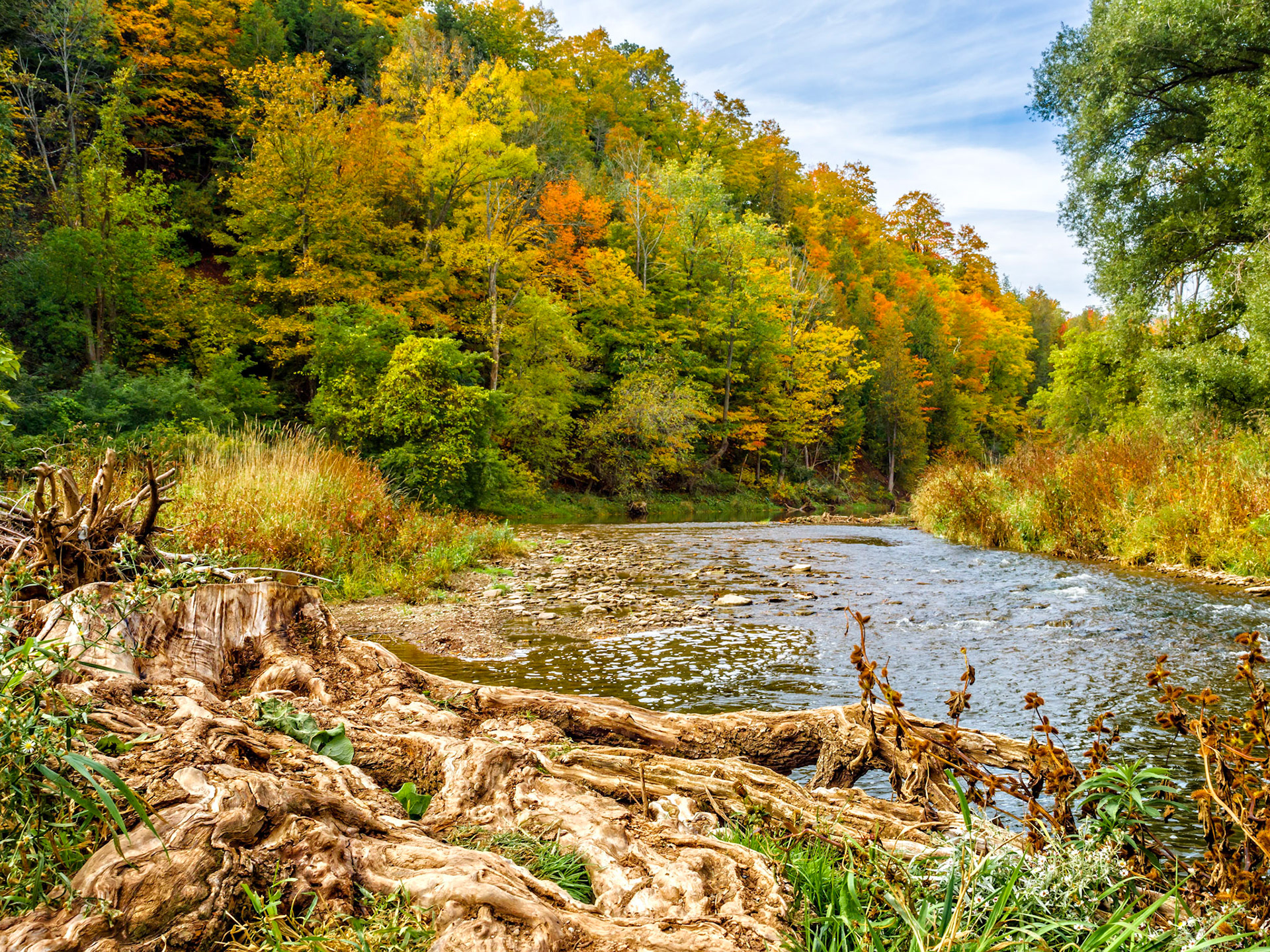 Fall colors in Lions Valley Park, Oakville, Ontario.