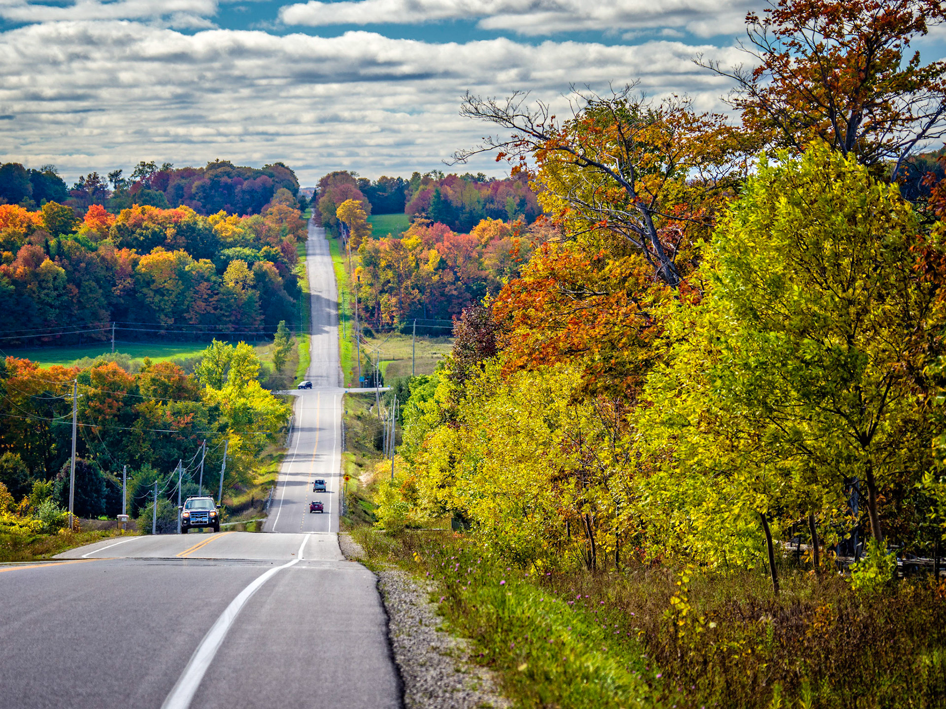 Fall countryside seen along Grey Road 19 on a sunny afternoon.