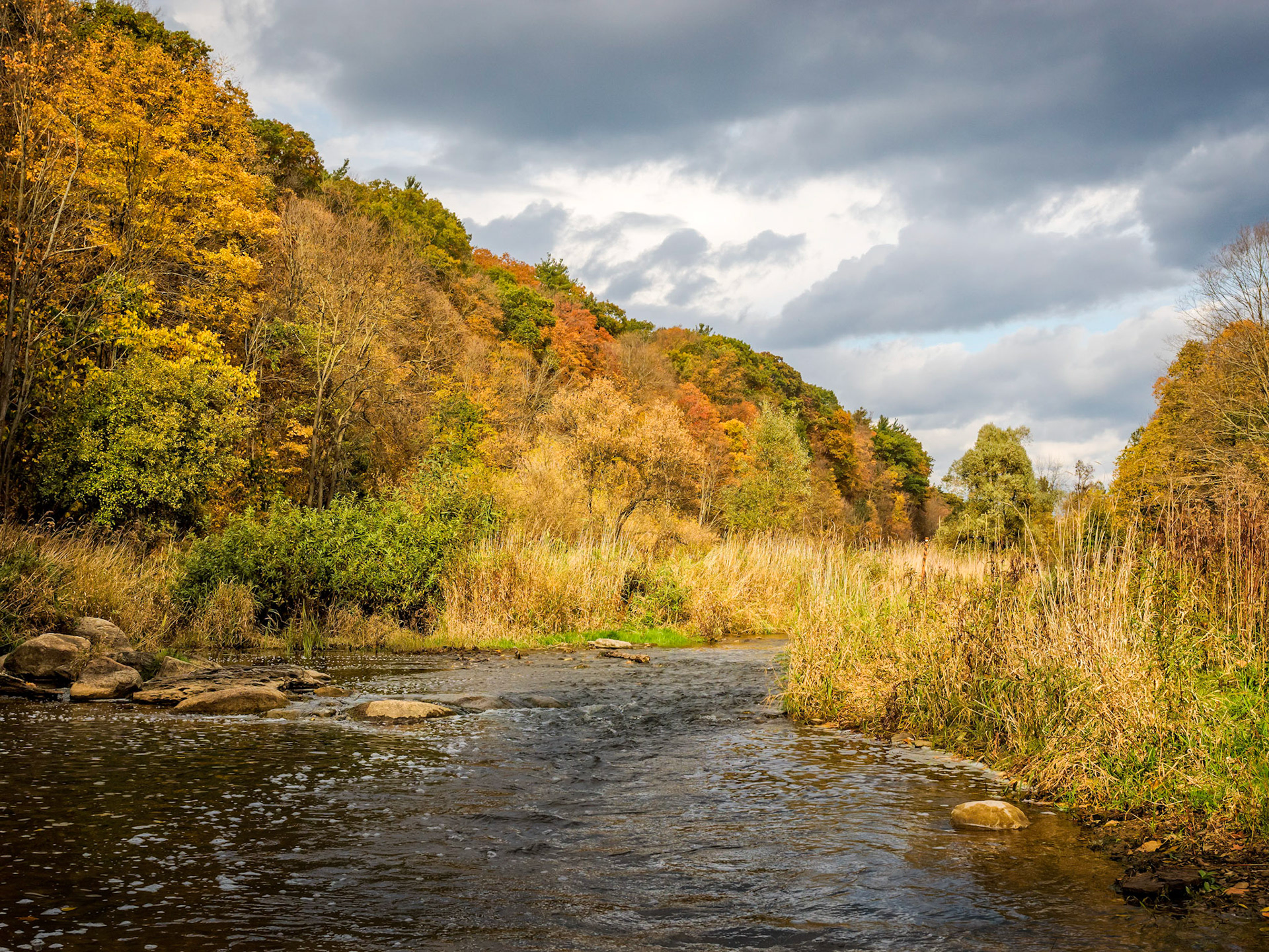 Sixteen Mile Creek in Glenorchy Conservation Area during fall, Oakville, Ontario.