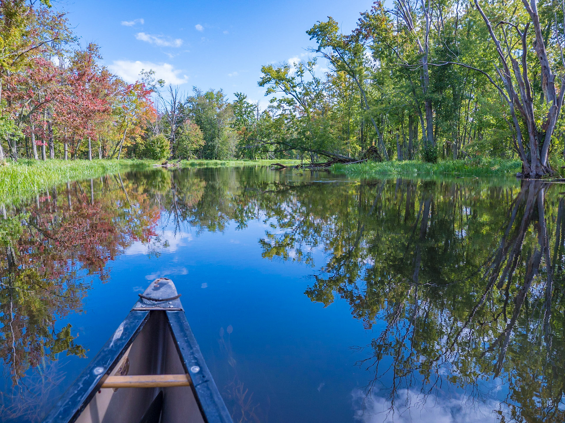 A fall canoe trip along the Beaver River near Epping Ontario.