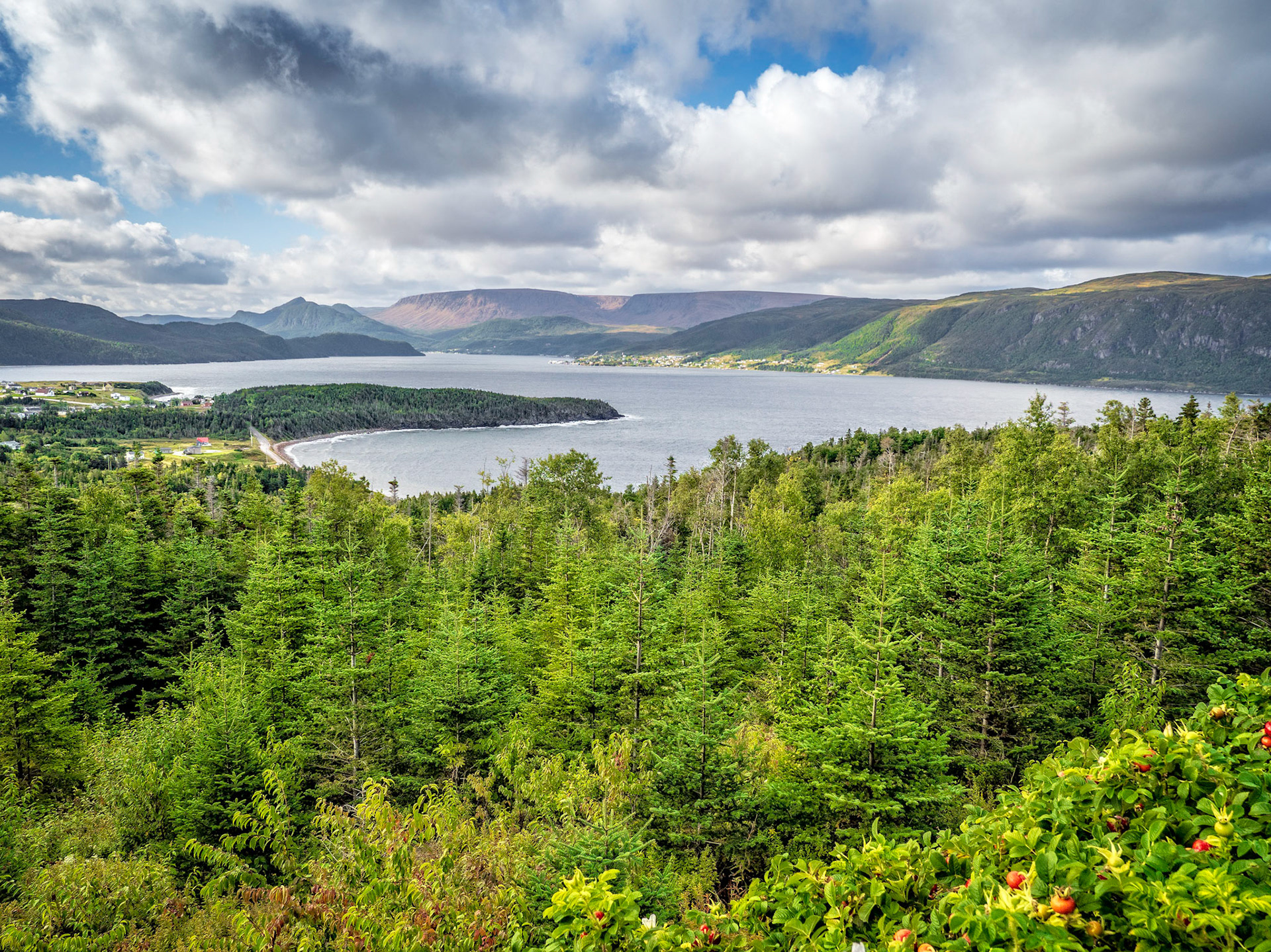 View from the lookout atop Norris Point in Newfoundland.
