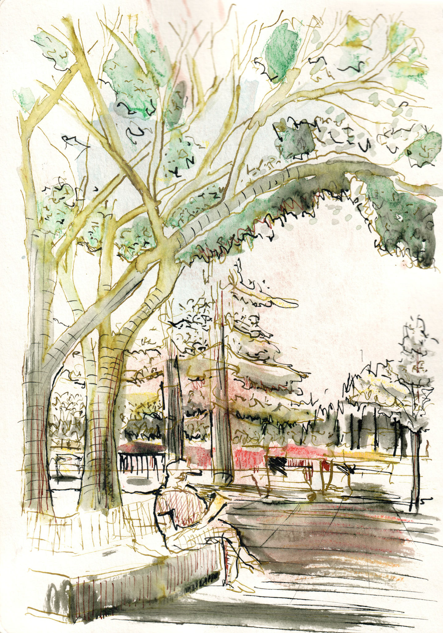 Kolo watercolor journal