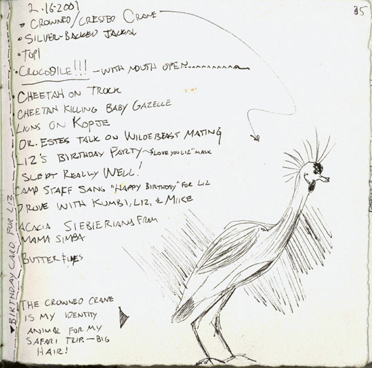 Crested Crane