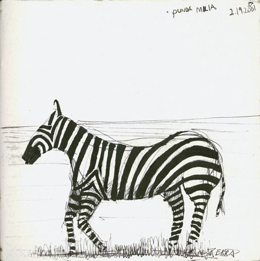 Zebra
