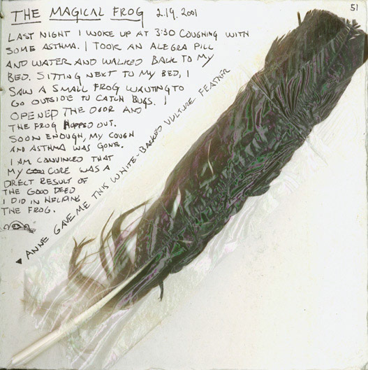 The Magical Frog and Ostrich Feather