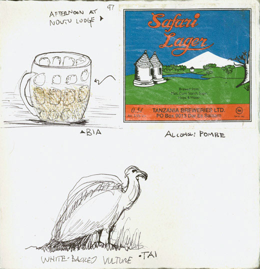 Beer | White-Backed Vulture