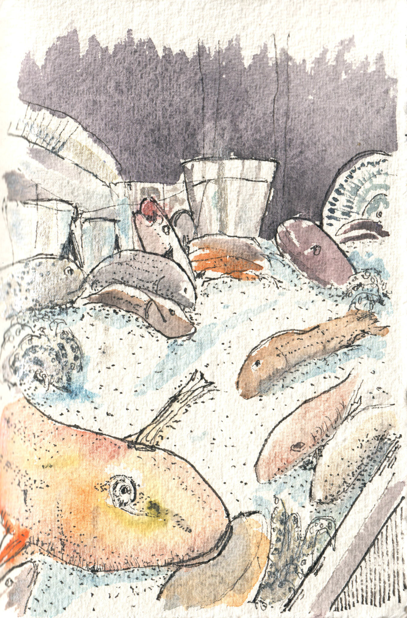 Fish options for dinner at La Battigia