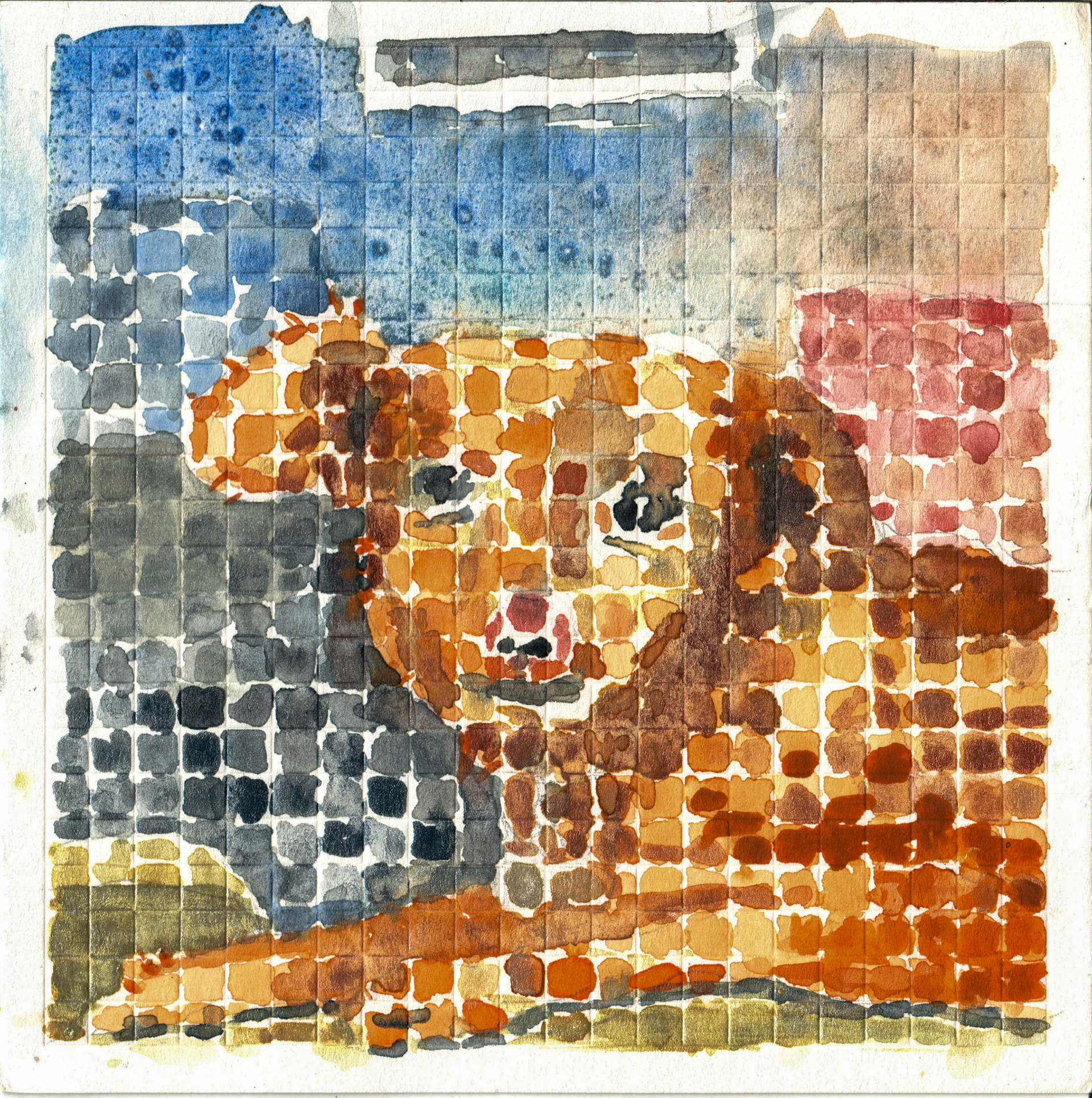 Caption: My sweet chihuahua